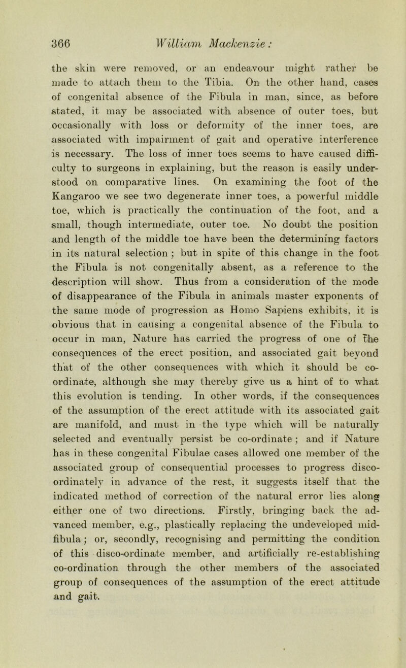 the skin were removed, or an endeavour might rather be made to attach them to the Tibia. On the other hand, cases of congenital absence of the Fibula in man, since, as before stated, it may be associated with absence of outer toes, but occasionally with loss or deformity of the inner toes, are associated with impairment of gait and operative interference is necessary. The loss of inner toes seems to have caused diffi- culty to surgeons in explaining, but the reason is easily under- stood on comparative lines. On examining the foot of the Kangaroo we see two degenerate inner toes, a powerful middle toe, which is practically the continuation of the foot, and a small, though intermediate, outer toe. No doubt the position and length of the middle toe have been the determining factors in its natural selection ; but in spite of this change in the foot the Fibula is not congenitally absent, as a reference to the description will show. Thus from a consideration of the mode of disappearance of the Fibula in animals master exponents of the same mode of progression as Homo Sapiens exhibits, it is obvious that in causing a congenital absence of the Fibula to occur in man, Nature has carried the progress of one of The consequences of the erect position, and associated gait beyond that of the other consequences with which it should be co- ordinate, although she may thereby give us a hint of to what this evolution is tending. In other words, if the consequences of the assumption of the erect attitude with its associated gait are manifold, and must in the type which will be naturally selected and eventually persist be co-ordinate ; and if Nature has in these congenital Fibulae cases allowed one member of the associated group of consequential processes to progress disco- ordinately in advance of the rest, it suggests itself that the indicated method of correction of the natural error lies along either one of two directions. Firstly, bringing back the ad- vanced member, e.g., plastically replacing the undeveloped mid- fibula; or, secondly, recognising and permitting the condition of this disco-ordinate member, and artificially re-establishing co-ordination through the other members of the associated group of consequences of the assumption of the erect attitude and gait.