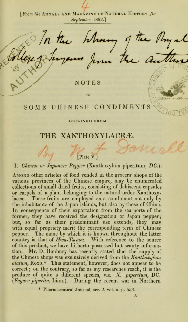 (f [From the Annals and Magazine of Natural History for September 18(52.] OBTAINED from THE XANTHOXYLACEyE. f \ V. Jr [Plate V.] I. Chinese or Japanese Pepper (Xanthoxylum piperitum, DC.). Among other articles of food vended in the grocers’ shops of the various provinces of the Chinese empire, may be enumerated collections of small dried fruits, consisting of dehiscent capsules or carpels of a plant belonging to the natural order Xanthoxy- lacese. These fruits are employed as a condiment not only by the inhabitants of the Japan islands, but also by those of China. In consequence of their exportation from the sea-ports of the former, they have received the designation of Japan pepper; but, so far as their predominant use extends, they may with equal propriety merit the corresponding term of Chinese pepper. The name by which it is known throughout the latter country is that of Hwa-Tseaou. With reference to the source of this product, we have hitherto possessed but scanty informa- tion. Mr. D. Hanbury has recently stated that the supply of the Chinese shops was exclusively derived from the Xanthoxylum alatum, Roxb.* This statement, however, does not appear to be correct; on the contrary, so far as my researches reach, it is the produce of quite a different species, viz. X. piperitum, DC. (Fagara piperita, Linn.). During the recent war in Northern * Pharmaceutical Journal, ser. 2. vol. ii. p. 553. A