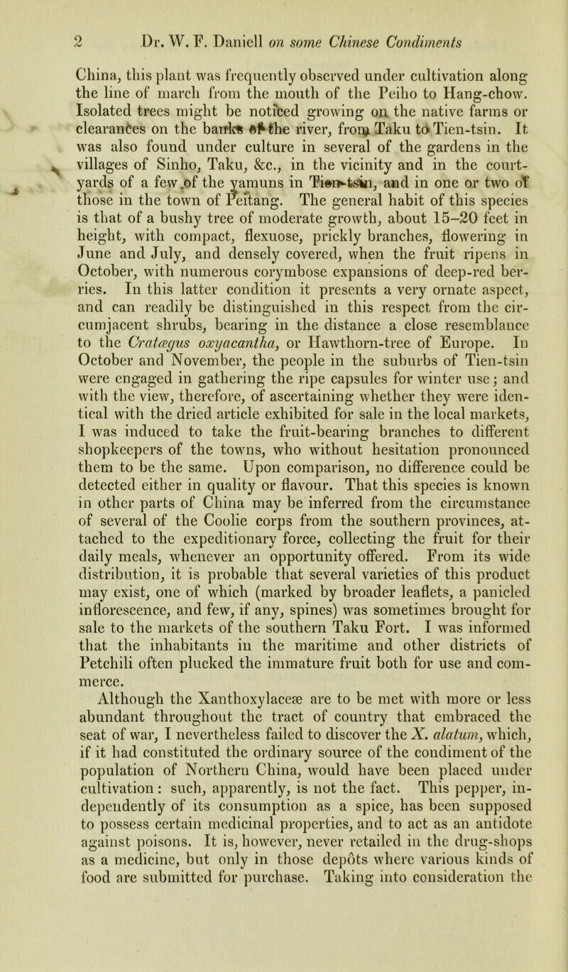 China, this plant was frequently observed under cultivation along the line of march from the mouth of the Peiho to Hang-chow. Isolated trees might be noticed growing on the native farms or clearances on the bank* the river, fron* Taku toTien-tsin. It was also found under culture in several of the gardens in the villages of Sinho, Taku, &c., in the vicinity and in the court- yards of a few .of the yamuns in Tientsin, and in one or two of those in the town of reftang. The general habit of this species is that of a bushy tree of moderate growth, about 15-20 feet in height, with compact, flexuose, prickly branches, flowering in June and July, and densely covered, when the fruit ripens in October, with numerous corymbose expansions of deep-red ber- ries. In this latter condition it presents a very ornate aspect, and can readily be distinguished in this respect from the cir- cumjacent shrubs, bearing in the distance a close resemblance to the Crataegus oxyacantlia, or Hawthorn-tree of Europe. In October and November, the people in the suburbs of Tien-tsin were engaged in gathering the ripe capsules for winter use; and with the view, therefore, of ascertaining whether they were iden- tical with the dried article exhibited for sale in the local markets, I was induced to take the fruit-bearing branches to different shopkeepers of the towns, who without hesitation pronounced them to be the same. Upon comparison, no difference could be detected either in quality or flavour. That this species is known in other parts of China may be inferred from the circumstance of several of the Coolie corps from the southern provinces, at- tached to the expeditionary force, collecting the fruit for their daily meals, whenever an opportunity offered. From its wide distribution, it is probable that several varieties of this product may exist, one of which (marked by broader leaflets, a panicled inflorescence, and few, if any, spines) was sometimes brought for sale to the markets of the southern Taku Fort. I was informed that the inhabitants iu the maritime and other districts of Petchili often plucked the immature fruit both for use and com- merce. Although the Xanthoxylacese are to be met with more or less abundant throughout the tract of country that embraced the seat of war, I nevertheless failed to discover the X. alatum, which, if it had constituted the ordinary source of the condiment of the population of Northern China, would have been placed under cultivation : such, apparently, is not the fact. This pepper, in- dependently of its consumption as a spice, has been supposed to possess certain medicinal properties, and to act as an antidote against poisons. It is, however, never retailed in the drug-shops as a medicine, but only in those depots where various kinds of food are submitted for purchase. Taking into consideration the