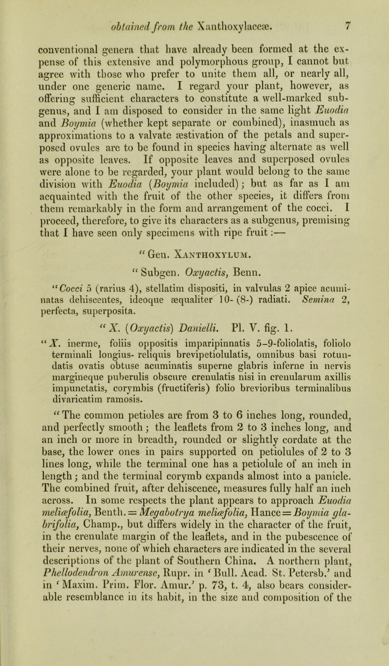 conventional genera that have already been formed at the ex- pense of this extensive and polymorphous group, I cannot but agree with those who prefer to unite them all, or nearly all, under one generic name. I regard your plant, however, as offering sufficient characters to constitute a well-marked sub- genus, and I am disposed to consider in the same light Euodia and Boymia (whether kept separate or combined), inasmuch as approximations to a valvate aestivation of the petals and super- posed ovules are to be found in species having alternate as well as opposite leaves. If opposite leaves and superposed ovules were alone to be regarded, your plant would belong to the same division with Euodia (Boymia included); but as far as I am acquainted with the fruit of the other species, it differs from them remarkably in the form and arrangement of the cocci. I proceed, therefore, to give its characters as a subgenus, premising that I have seen only specimens with ripe fruit:— “ Gen. Xanthoxylum. “ Subgen. Oxyactis, Benn. “Cocci 5 (rarius 4), stellatim dispositi, in valvulas 2 apice acumi- natas dehiscentes, ideoque sequaliter 10- (8-) radiati. Semina 2, perfecta, superposita. “ X. (Oxyactis) Danielli. PI. V. fig. 1. “X. inerme, fo'liis oppositis imparipinnatis 5-9-foliolatis, foliolo terminali longius- reliquis brevipetiolulatis, omnibus basi rotun- datis ovatis obtuse acuminatis superne glabris inferne in nervis margineque puberulis obscure crenulatis nisi in creuularum axillis impunctatis, corymbis (fructiferis) folio brevioribus terminalibus divaricatim ramosis. “ The common petioles are from 3 to 6 inches long, rounded, and perfectly smooth; the leaflets from 2 to 3 inches long, and an inch or more in breadth, rounded or slightly cordate at the base, the lower ones in pairs supported on petiolules of 2 to 3 lines long, while the terminal one has a petiolule of an inch in length; and the terminal corymb expands almost into a panicle. The combined fruit, after dehiscence, measures fully half an inch across. In some respects the plant appears to approach Euodia melicefolia, Benth. — Megabotrya melicefolia, Hance = Boymia gla- brifolia, Champ., but differs widely in the character of the fruit, in the crenulate margin of the leaflets, and in the pubescence of their nerves, none of which characters are indicated in the several descriptions of the plant of Southern China. A northern plant, Phellodendron Amurense, Rupr. in ‘ Bull. Acad. St. Petersb.5 and in ‘ Maxim. Prim. Flor. Amur/ p. 73, t. 4, also bears consider- able resemblance in its habit, in the size and composition of the