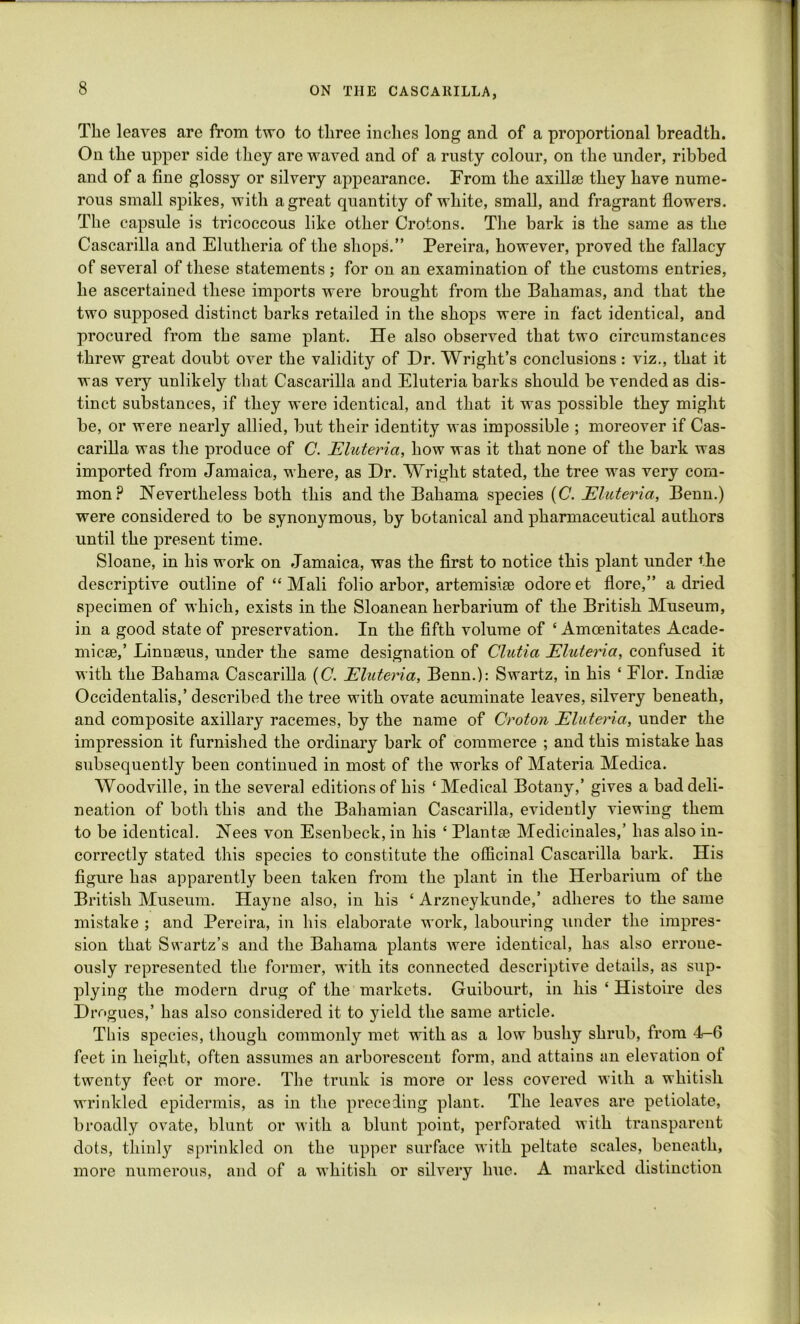 The leaves are from two to three inches long and of a proportional breadth. On the upper side they are waved and of a rusty colour, on the under, ribbed and of a fine glossy or silvery appearance. From the axillae they have nume- rous small spikes, with a great quantity of white, small, and fragrant flowers. The capsule is tricoccous like other Crotons. The bark is the same as the Cascarilla and Elutlieria of the shops.” Pereira, however, proved the fallacy of several of these statements ; for on an examination of the customs entries, he ascertained these imports were brought from the Bahamas, and that the two supposed distinct barks retailed in the shops were in fact identical, and procured from the same plant. He also observed that two circumstances threw great doubt over the validity of Dr. Wright’s conclusions: viz., that it was very unlikely that Cascarilla and Eluteria barks should be vended as dis- tinct substances, if they were identical, and that it was possible they might be, or were nearly allied, but their identity was impossible ; moreover if Cas- carilla was the produce of C. Eluteria, how was it that none of the bark was imported from Jamaica, where, as Dr. Wright stated, the tree was very com- mon? Nevertheless both this and the Bahama species (C. Eluteria, Benn.) were considered to be synonymous, by botanical and pharmaceutical authors until the present time. Sloane, in his work on Jamaica, was the first to notice this plant under the descriptive outline of “ Mali folio arbor, artemishe odoreet flore,” a dried specimen of which, exists in the Sloanean herbarium of the British Museum, in a good state of preservation. In the fifth volume of ‘ Amcenitates Acade- micse,’ Linnseus, under the same designation of Clutia Eluteria, confused it with the Bahama Cascarilla (C. Eluteria, Benn.): Swartz, in his ‘ Flor. Indiae Occidentals,’ described the tree with ovate acuminate leaves, silvery beneath, and composite axillary racemes, by the name of Croton Eluteria, under the impression it furnished the ordinary bark of commerce ; and this mistake has subsequently been continued in most of the works of Materia Medica. Woodville, in the several editions of his ‘Medical Botany,’ gives a bad deli- neation of both this and the Bahamian Cascarilla, evidently viewing them to be identical. Nees von Esenbeck, in his ‘ Plan tee Medicinales,’ has also in- correctly stated this species to constitute the officinal Cascarilla bark. His figure has apparently been taken from the plant in the Herbarium of the British Museum. Hayne also, in his ‘ Arzneykunde,’ adheres to the same mistake ; and Pereira, in his elaborate work, labouring under the impres- sion that Swartz’s and the Bahama plants were identical, has also errone- ously represented the former, with its connected descriptive details, as sup- plying the modern drug of the markets. Guibourt, in his ‘ Histoire des Drogues,’ has also considered it to yield the same article. This species, though commonly met with as a low bushy shrub, from 4-6 feet in height, often assumes an arborescent form, and attains an elevation of twenty feet or more. The trunk is more or less covered with a whitish wrinkled epidermis, as in the preceding plant. The leaves are petiolate, broadly ovate, blunt or with a blunt point, perforated with transparent dots, thinly sprinkled on the upper surface with peltate scales, beneath, more numerous, and of a whitish or silvery hue. A marked distinction
