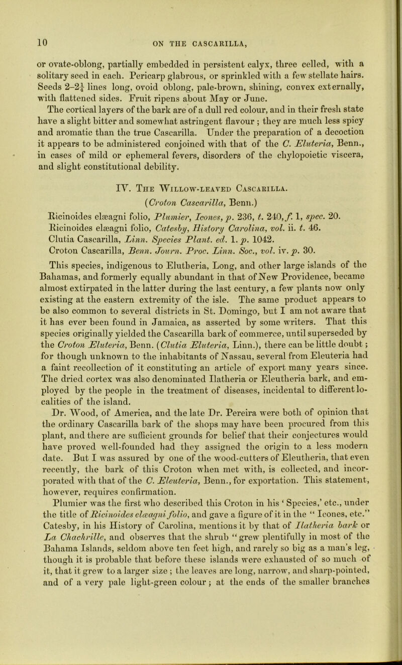 or ovate-oblong, partially embedded in persistent calyx, three celled, with a solitary seed in each. Pericarp glabrous, or sprinkled with a few stellate hairs. Seeds 2-2|- lines long, ovoid oblong, pale-brown, shining, convex externally, with flattened sides. Fruit ripens about May or June. The cortical layers of the bark are of a dull red colour, and in their fresh state have a slight bitter and somewhat astringent flavour ; they are much less spicy and aromatic than the true Cascarilla. Under the preparation of a decoction it appears to be administered conjoined with that of the C. Eluteria, Benn., in cases of mild or ephemeral fevers, disorders of the ehylopoietic viscera, and slight constitutional debility. IY. The Willow-leaved Cascaeilla. (Croton Cascarilla, Benn.) Bicinoides elseagni folio, Plumier, leones,p. 236, t. 240,/. 1, spec. 20. Bicinoides elaeagni folio, Catesby, History Carolina, vol. ii. t. 46. Clutia Cascarilla, Linn. Species Plant, eel. 1. p. 1042. Croton Cascarilla, Penn. Journ. Proc. Linn. Soc., vol. iv. p. 30. This species, indigenous to Elutheria, Long, and other large islands of the Bahamas, and formerly equally abundant in that of New Providence, became almost extirpated in the latter during the last century, a few plants now only existing at the eastern extremity of the isle. The same product appears to be also common to several districts in St. Domingo, but I am not aware that it has ever been found in Jamaica, as asserted by some writers. That this species originally yielded the Cascarilla bark of commerce, until superseded by the Croton Eluteria, Benn. (Clutia Eluteria, Linn.), there can be little doubt; for though unknown to the inhabitants of Nassau, several from Eleuteria had a faint recollection of it constituting an article of export many years since. The dried cortex was also denominated Ilatheria or Eleutheria bark, and em- ployed by the people in the treatment of diseases, incidental to different lo- calities of the island. Dr. Wood, of America, and the late Dr. Pereira were both of opinion that the ordinary Cascarilla bark of the shops may have been procured from this plant, and there are sufficient grounds for belief that their conjectures would have proved well-founded had they assigned the origin to a less modern date. But I was assured bjr one of the wood-cutters of Eleutheria, that even recently, the bark of this Croton when met with, is collected, and incor- porated with that of the C. Eleuteria, Benn., for exportation. This statement, however, requires confirmation. Plumier was the first who described this Croton in his ‘ Species,’ etc., under the title of Ricinoides elceagni folio, and gave a figure of it in the “ leones, etc.” Catesby, in his History of Carolina, mentions it by that of Ilatheria bark or Lja Chachrille, and observes that the shrub “grew plentifully in most of the Bahama Islands, seldom above ten feet high, and rarely so big as a man’s leg, though it is probable that before these islands were exhausted of so much of it, that it grew to a larger size ; the leaves are long, narrow, and sharp-pointed, and of a very pale light-green colour; at the ends of the smaller branches