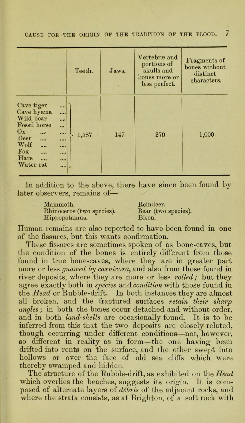 Teeth. Jaws. t Vertebrae and portions of skulls and bones more or less perfect. Fragments of bones without distinct characters. Cave tiger Cave hyaena Wild boar Fossil horse Ox Deer Wolf Fox Hare Water rat -\ - 1,587 y 147 279 1,000 In addition to tlie above, there have since been found bv 7 c- later observers, remains of— Mammoth. Reindeer. Rhinoceros (two species). Bear (two species). Hippopotamus. Bison. Human remains are also reported to have been found in one of the fissures, but this wants confirmation. These fissures are sometimes spoken of as bone-caves, but the condition of the bones is entirely different from those found in true bone-caves, where they are in greater part more or less gnawed by carnivora, and also from those found in river deposits, where they are more or less rolled; but they agree exactly both in species and condition with those found in the Head or Rubble-drift. In both instances they are almost all broken, and the fractured surfaces retain their sharp angles; in both the bones occur detached and without order, and in both land-shells are occasionally found. It is to be inferred from this that the two deposits are closely related, though occurring under different conditions—not, however, so different in reality as in form—the one having been drifted into rents on the surface, and the other swept into hollows or over the face of old sea cliffs which were thereby swamped and hidden. The structure of the Rubble-drift, as exhibited on the Head which overlies the beaches, suggests its origin. It is com- posed of alternate layers of debris of the adjacent rocks, and where the strata consists, as at Brighton, of a soft rock with