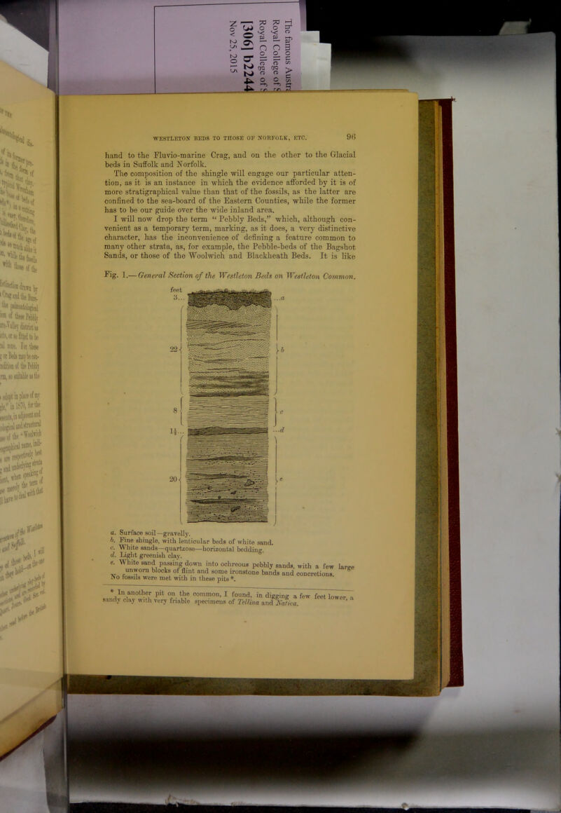 era 05 WESTLETON BEDS TO THOSE OF NORFOLK, ETC. 9() I s i hand to the Fluvio-marine Crag, and on the other to the Glacial beds in Suffolk and Norfolk. The composition of the shingle ■will engage our particular atten- tion, as it is an instance in which the evidence afforded by it is of more stratigraphical value than that of the fossils, as the latter are confined to the sea-board of the Eastern Counties, while the former has to be our guide over the wide inland area. I will now drop the term “ Pebbly Beds,” which, although con- venient as a temporary term, marking, as it does, a very distinctive character, has the inconvenience of defining a feature common to many other strata, as, for example, the Pebble-beds of the Bagshot Sands, or those of the Woolwich and Blackheath Beds. It is like Fig. 1.— General Section of the Westleton Bede on e^tleton Common. a. Surface soil —gravellj-. A. Fine shingle, with lenticular beds of white sand. V. White sands—quartzose—horizontal bedding. ci. Light greenish clay. e. White sand passing down into ochreous pebbly sands, with a few large unworn blocks of flint and some ironstone bands and concretions. Dio fo8.sils were met with in these pits*. Ill another pit on the common, I found, in digging a few feet lower sandy clay with very friable specimens of Tel/iiia and %z/ica. ' '
