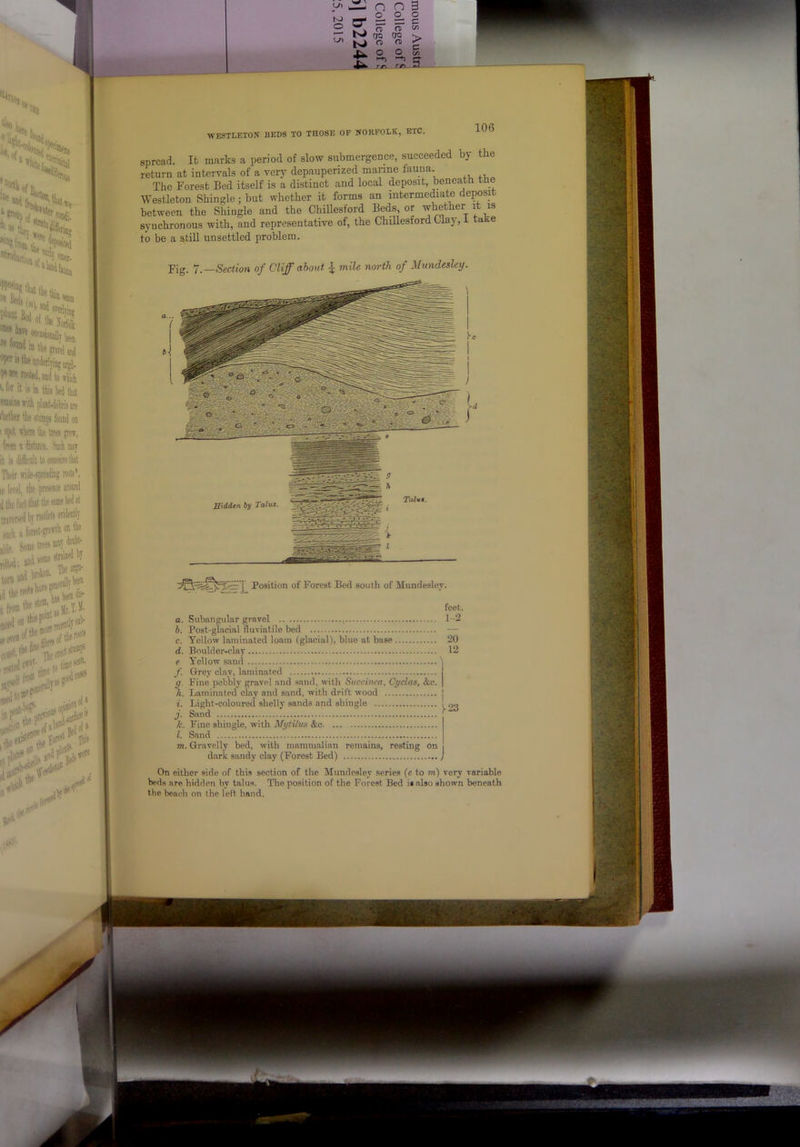 a O O n n ^ rJ TO TO ^ O O a) Tr cj rn. rji. »3 WESTLETON BEDS TO THOSE OF NORFOLK, ETC. 106 >rtii, «thev ''‘»laiiil(i, '>l*fi5tliemidctlniijj^. l''«»tMteii.injtowliitli '' t''f it is in this bed thst f maiw »iih plat-dehris are Wet the stninp found on ! 5p^^ «here the trees grew, fro n distance, iiich mat it is difficult to conceiEthat Their wide-spreading rwts*, le level, the presience around d the fae'thst tn such i [orestfowth on the A, trees fflsy “it.,I and some stnis^ihy - the stf®-Ij, 8j ‘ > ife^' •-Sinesof iftheiso ,.Tst.thsW^ ,f the roe’* Thee«*^‘ „ !Si* *',.*/*' ;,{c^ ' spread. It marks a period of slow submergence, succeeded by the return at intervals of a very depauperized marine fauria. The Forest Bed itself is a distinct and local deposit, beneath tne Westleton Shingle j but whether it forms an intermediate de;^sit between the Shingle and the Chillesford Beds, or ’whether it is synchronous with, and representative of, the ChiUesford Clay, i take to be a still unsettled problem. .—Section of Oliff about | mile north of Mundesley. Talvi. Bidden by Talus. as Position of Forest Bed south of Mundeslev. 0. Subangular gravel h. Post-glacial fluviatile bed c. Yellow laminated loam (glacial), blue at base d. Boulder-clay e Yellow .sand f. Grey clay, laminated g. Fine pebbly gravel and sand, with Succinca, Cycles, &c. h. Laminated clay and sand, with drift wood ?. Light-coloured shelly sands and shingle j. Sand k. Fine shingle, with MytUus &u 1. Sand m. Gravelly bed, with mammalian remains, resting on dark sandy clay (Forest Bed) feet. 1-2 On either side of this section of the Mundesley aeries (e to m) very variable beds are hidden by talus. The position of the Forest Bed is also shown beneath the beach on the left hand. 3^