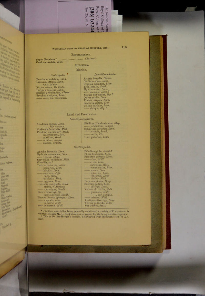 OS KJ o o O' ?r rro ?r CTQ o a o o rn WESTLEXON BEDS TO THOSE OF NOSFOLX, ETC, Oypris Browiana ? Candona Candida, il/itW. Gasteropoda. * Buccinum undatum, Linn. Littorina littorea, Linn. rudis, Maton. Natica catena, l)a Costa. Purpura lapillus, Linn. Scalaria groenlandica, Chemn. Trophon antiquus, Linn. , var. contrarius. Entomosteaca. (Extinct.) MOLLtrSCA. Marine. Lamellibranchiata. Astarte borealis, Chemn. Cardium edule, Linn. Cyprina islandica, Linn. Leda myalis, Couth. Mya truncata, Linn. arenaria, Linn. ? Nucula Cobboldise, Sbp.? Ostrea edulis, Linn. Pholas crispata, Linn. Saxicara arctica, Linn. Tellina balthica, Linn. obliqua, Sby. ? Land and Ereshwater. Lamellibranchiata. Anodonta cygnea, Linn. , yar. anatina. Corbicula fluminalis, Miill. Pisidium aninicum *, Miill. (casertanum),PoW. pusillum, Gmel. nitidum, Jenyns. roseum, Scholtz. Pisidium Henslowianum, Shsp. pulchellum, Jenyns. Sphserium corneum, Linn. rivicola, Leach. ovalis, Fir. Unio pictorum, Linn. Gasteropoda. Anoylus lacustris, Linn. Paludina gibba, Sa?idb.f Bythinia tentacnlata, Linn. Physa fontinalis, Linn, Leach ii. Shops. Planorbis comeus, Linn. Carychium minimum. Mull. albus, Miill. Olausilia, sp. ? crista, Linn. Helix arbu.storura, Linn. carinatus, Miill. neinorulis, Linn. complanatus, Linn. hispida, Linn. vortex, Linn. coneinna, Jcffr. spirorbis, Linn. fulva, Miill. contortus, lAnn. pulchella, Miill. nitidus, Miill. pygma^a, Lrap. Pupa niarginata, Lrap. Hydrobia inarginata, Mich. Succinea putris, Linn. Steinii, v. Martens. oblonga, Lrap. runtoniana, Sandb. Valvata tluviatilis. Colb. Limax Sowerbyi, Ffr. piscinalis, Miill. modioliforniis, Sandb. , var. antiqiia. Lininsea limosa (peregra), Linn. cristata, Miill. stagnalis, Linn. Vertigo antivertigo, Lrap. palustris, Miill. Vitrina pellucida, Miill. truncatula, Mull. Zua Inbrica, Miill. * Pisidium osi'artoitfcs, being generally considered a variety ofP. amnicvm. is omitted, though Mr. C. Reid shows some reason for its being a distinct species. + This is Dr. Sandborger's species, determined from specimens sent by Mr. Reid.