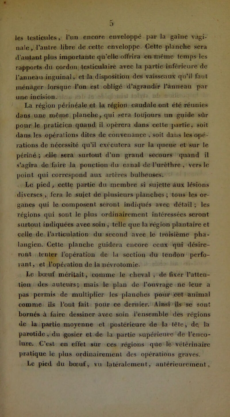 les testicules, l’un encore enveloppé par la gaine vagi- nale, l’antre libre de cette enveloppe. Cette planche sera d’autant plus importante qu’elle offrira en même temps les rapports du cordon testiculaire avec la partie inférieure de l’anneau inguinal, et la disposition des vaisseaux qu’il faut ménager lorsque l’on est obligé d’agrandir l’anneau par une incision. La région périnéale et la région caudale ont été réunies dans une même planche, qui sera toujours un guide sûr pour le praticien quand il opérera dans cette partie, soit dans les opérations dites de convenance . soit dans les opé- rations de nécessité qu’il exécutera sur la queue et sur le périné ; elle sera surtout d’un grand secours quand il s’agira de faire la ponction du canal de l’urèthre , vers le point qui correspond aux artères bulbeuses. Le pied, celte partie du membre si sujette aux lésions diverses , fera le sujet de plusieurs planches ; tous les or- ganes qui le composent seront indiqués avec détail ; les régions qui sont le plus ordinairement intéressées .seront surtout indiquées avec soin , telle que la région plantaire et celle de l’articulation du second avec le troisième pha- langien. Cette planche guidera encore ceux qui désire- ront tenter l’opération de la section du tendon perfo- rant , et l’opération de la névrotomie. Le bœuf méritait, comme le cheval , de fixer l’atten- tion des auteurs; mais le plan de l’ouvrage ne leur a pas permis de multiplier les planches pour cet animal comme ils l’out fait pour ce dernier. Ainsi ils se sont bornés à faire dessiner avec soin i’en.semble des régions de la partie moyenne et postérieure de la tête, de. la parotide , du gosier et de la partie supérieure de l’enco- lure. C’est en effet sur ces régions que le vétérinaire pratique le plus ordinairement des opérations graves. Le pied du bœuf, vu latéralement, antérieurement.