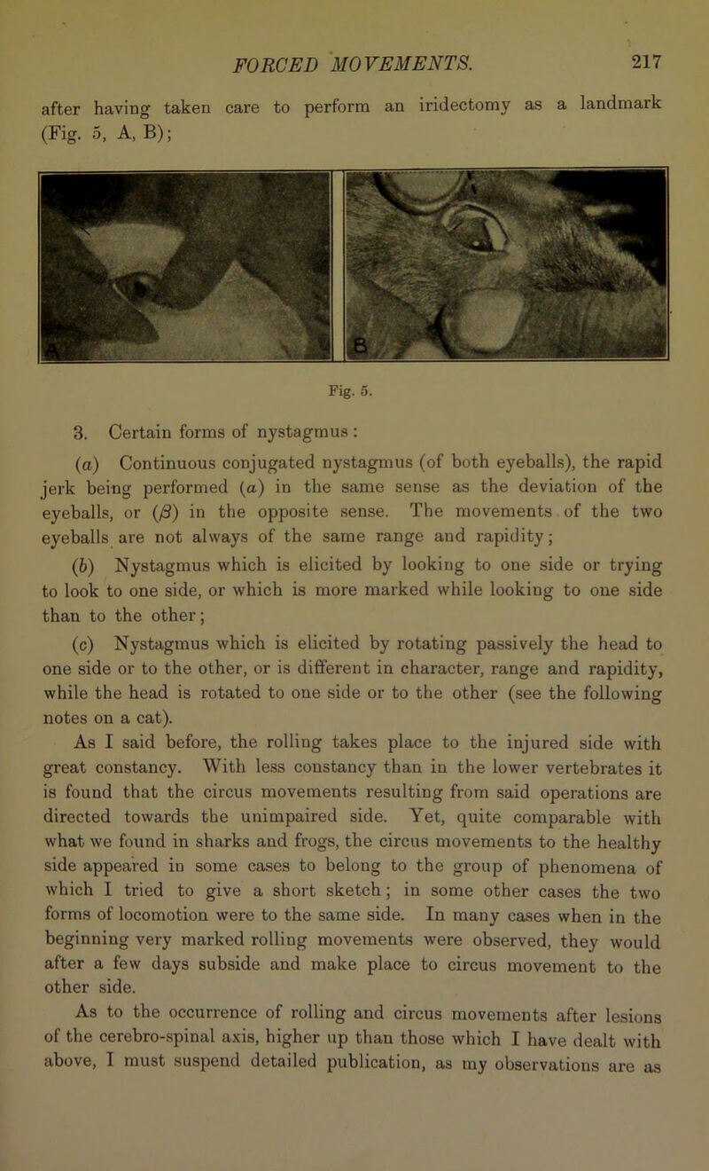 after having taken care to perform an iridectomy as a landmark (Fig. 5, A, B); Fig. 5. 3. Certain forms of nystagmus : (a) Continuous conjugated nystagmus (of both eyeballs), the rapid jerk being performed (a) in the same sense as the deviation of the eyeballs, or (/3) in the opposite sense. The movements of the two eyeballs are not always of the same range and rapidity; (b) Nystagmus which is elicited by looking to one side or trying to look to one side, or which is more marked while looking to one side than to the other; (c) Nystagmus which is elicited by rotating passively the head to one side or to the other, or is different in character, range and rapidity, while the head is rotated to one side or to the other (see the following notes on a cat). As I said before, the rolling takes place to the injured side with great constancy. With less constancy than in the lower vertebrates it is found that the circus movements resulting from said operations are directed towards the unimpaired side. Yet, quite comparable with what we found in sharks and frogs, the circus movements to the healthy side appeared in some cases to belong to the group of phenomena of which I tried to give a short sketch ; in some other cases the two forms of locomotion were to the same side. In many cases when in the beginning very marked rolliug movements were observed, they would after a few days subside and make place to circus movement to the other side. As to the occurrence of rolling and circus movements after lesions of the cerebro-spinal axis, higher up than those which I have dealt with above, I must suspend detailed publication, as my observations are as