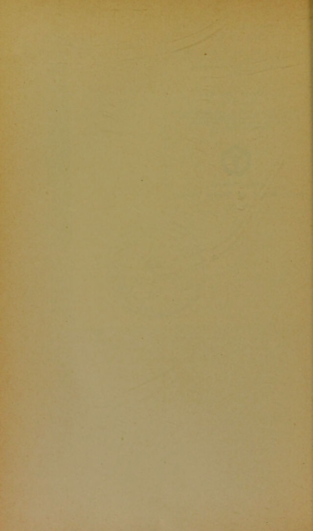 digitised image 2