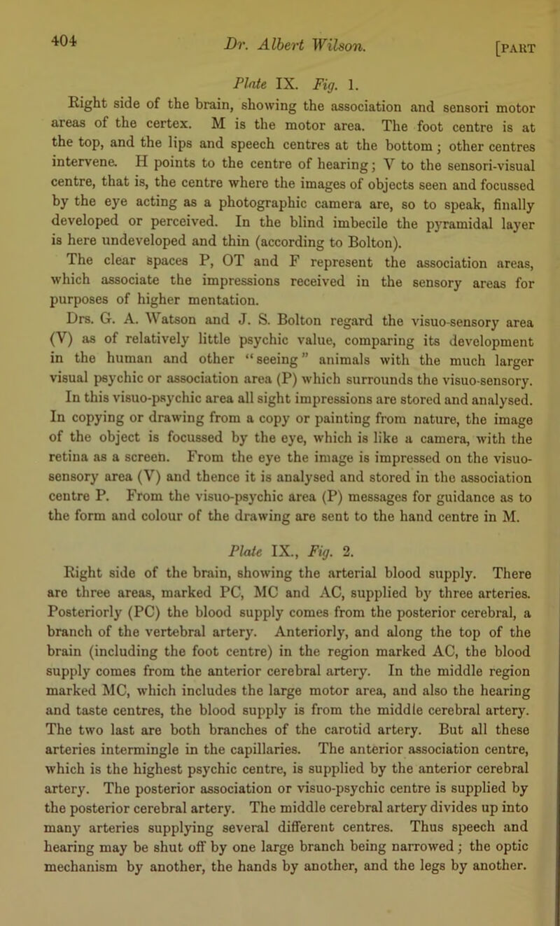 [part Plate IX. Fig. 1. Right side of the brain, showing the association and sensori motor areas of the certex. M is the motor area. The foot centre is at the top, and the lips and speech centres at the bottom; other centres intervene. H points to the centre of hearing; V to the sensori-visual centre, that is, the centre where the images of objects seen and focussed by the eye acting as a photographic camera are, so to speak, finally developed or perceived. In the blind imbecile the pyramidal layer is here undeveloped and thin (according to Bolton). The clear spaces P, OT and F represent the association areas, which associate the impressions received in the sensory areas for purposes of higher mentation. Drs. G. A. Watson and J. S. Bolton regard the visuo-sensory area (V) as of relatively little psychic value, comparing its development in the human and other “seeing” animals with the much larger visual psychic or association area (P) which surrounds the visuo-sensory. In this visuo-psychic area all sight impressions are stored and analysed. In copying or drawing from a copy or painting from nature, the image of the object is focussed by the eye, which is like a camera, with the retina as a screen. From the eye the image is impressed on the visuo- sensory area (V) and thence it is analysed and stored in the association centre P. From the visuo-psychic area (P) messages for guidance as to the form and colour of the drawing are sent to the hand centre in M. Plate IX., Fig. 2. Right side of the brain, showing the arterial blood supply. There are three areas, marked PC, MC and AC, supplied by three arteries. Posteriorly (PC) the blood supply comes from the posterior cerebral, a branch of the vertebral artery. Anteriorly, and along the top of the brain (including the foot centre) in the region marked AC, the blood supply comes from the anterior cerebral artery. In the middle region marked MC, which includes the large motor area, and also the hearing and taste centres, the blood supply is from the middle cerebral artery. The two last are both branches of the carotid artery. But all these arteries intermingle in the capillaries. The anterior association centre, which is the highest psychic centre, is supplied by the anterior cerebral artery. The posterior association or visuo-psychic centre is supplied by the posterior cerebral artery. The middle cerebral artery divides up into many arteries supplying several different centres. Thus speech and hearing may be shut off by one large branch being narrowed; the optic mechanism by another, the hands by another, and the legs by another.
