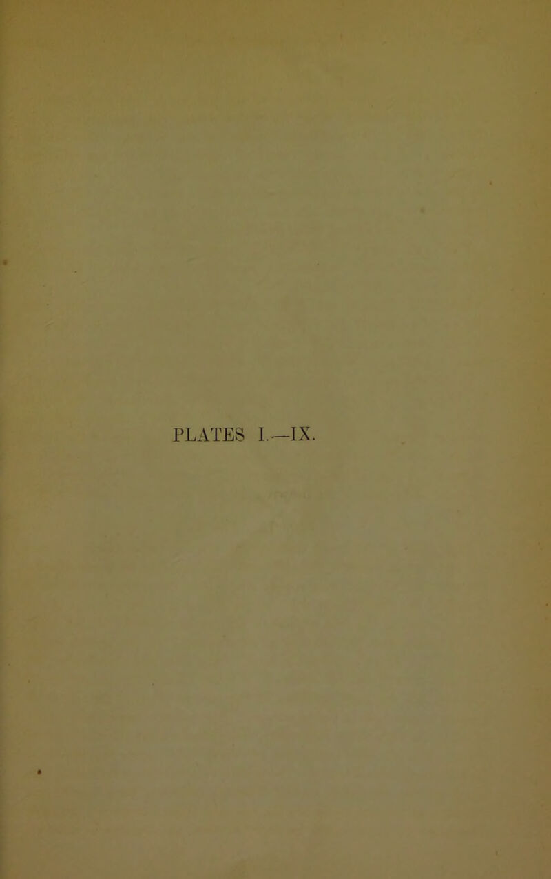 PLATES 1.— IX.