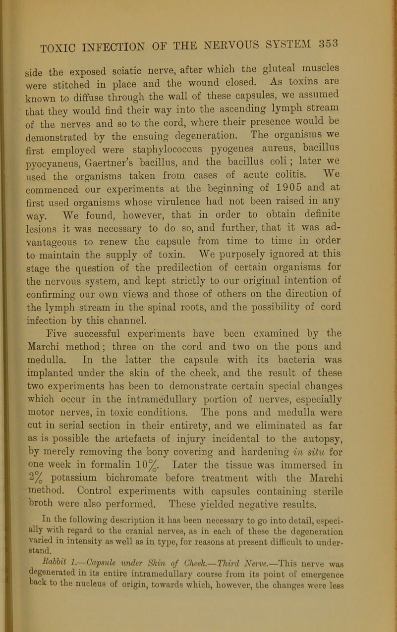 side the exposed sciatic nerve, after which the gluteal muscles were stitched in place and the wound closed. As toxins are known to diffuse through the wall of these capsules, we assumed that they would find their way into the ascending lymph stream of the nerves and so to the cord, where their presence would be demonstrated by the ensuing degeneration. The organisms we first employed were staphylococcus pyogenes aureus, bacillus pyocyaneus, Gaertner’s bacillus, and the bacillus coli; later we used the organisms taken from cases of acute colitis. We commenced our experiments at the beginning of 1905 and at first used organisms whose virulence had not been raised in any way. We found, however, that in order to obtain definite lesions it was necessary to do so, and further, that it was ad- vantageous to renew the capsule from time to time in order to maintain the supply of toxin. We purposely ignored at this stage the question of the predilection of certain organisms for the nervous system, and kept strictly to our original intention of confirming our own views and those of others on the direction of o the lymph stream in the spinal roots, and the possibility of cord infection by this channel. Five successful experiments have been examined by the Marchi method; three on the cord and two on the pons and medulla. In the latter the capsule with its bacteria was implanted under the skin of the cheek, and the result of these two experiments has been to demonstrate certain special changes which occur in the intrame'dullary portion of nerves, especially motor nerves, in toxic conditions. The pons and medulla were cut in serial section in their entirety, and we eliminated as far as is possible the artefacts of injury incidental to the autopsy, by merely removing the bony covering and hardening in situ for one week in formalin 10^. Later the tissue was immersed in 2^ potassium bichromate before treatment with the Marchi method. Control experiments with capsules containing sterile broth were also performed. These yielded negative resxdts. In the following description it has been necessai\y to go into detail, especi- ally with regard to the cranial nerves, as in each of these tlie degeneration varied in intensity as well as in type, for reasons at present difficult to under- stand. Rabbit 1.—Capsule under Skin of Cheek.—Third Nerve.—This nerve was degenerated in its entire intramedullary course from its point of emergence hack to the nucleus of origin, towards which, however, the changes were less