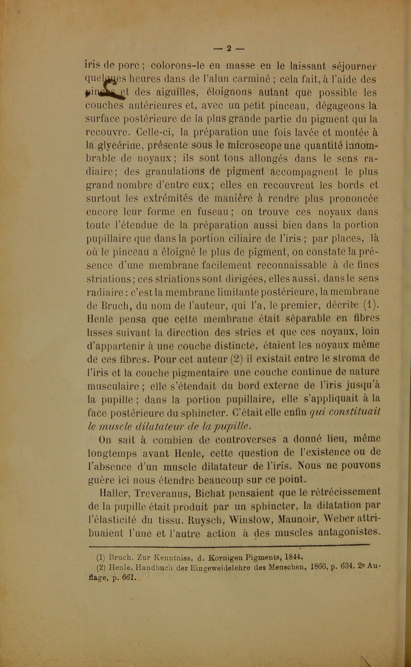 iris de porc ; colorons-le en masse en le laissant séjourner quelles heures dans de l’alun carminé ; cela fait, à l’aide des pinâ^t des aiguilles, éloignons autant que possible les couches antérieures et, avec un petit pinceau, dégageons la surface postérieure de la plus grande partie du pigment qui la recouvre. Celle-ci, la préparation une fois lavée et montée à la glycérine, présente sous le microscope une quantité innom- brable de noyaux ; ils sont tous allongés dans le sens ra- diaire; des granulations de pigment accompagnent le plus grand nombre d’entre eux; elles en recouvrent les bords et surtout les extrémités de manière à rendre plus prononcée encore leur forme en fuseau ; on trouve ces noyaux dans toute l’étendue de la préparation aussi bien dans la portion pupillaire que dans la portion ciliaire de l’iris ; par places, là où le pinceau a éloigné le plus de pigment, on constate la pré- sence d’une membrane facilement reconnaissable à de fines striations; ces striations sont dirigées, elles aussi, dans le sens radiaire : c’est la membrane limitante postérieure, la membrane de Bruch, du nom de l’auteur, qui l’a, le premier, décrite (1). Hcnle pensa que cette membrane était séparable en fibres lisses suivant la direction des stries et que ces noyaux, loin d’appartenir à une couche distincte, étaient les noyaux même de ces libres. Pour cet auteur (2) il existait entre le stroma de l’iris et la couche pigmentaire une couche continue de nature musculaire ; elle s’étendait du bord externe de l’iris jusqu’à la pupille ; dans la portion pupillaire, elle s’appliquait à la face postérieure du sphincter. C’était elle enfin qui constituait le muscle dilatateur de la pupille. On sait à combien de controverses a donné lieu, môme longtemps avant Henle, cette question de l’existence ou de l’absence d’un muscle dilatateur de l’iris. Nous ne pouvons guère ici nous étendre beaucoup sur ce point. Haller, Treveranus, Bichat pensaient que le rétrécissement de la pupille était produit par un sphincter, la dilatation par l’élasticité du tissu. Ruysch, Winslow, Maunoir, Weber attri- buaient l’une et l’autre action à çles muscles antagonistes. (1) Bruch. Zur Kenntniss. d. Kornigen Pigments, 1844. (2) Henle. Handbucii der Eingcweidelehre des Menschen, 1866, p. 634. 2° Au- flage, p. 661.