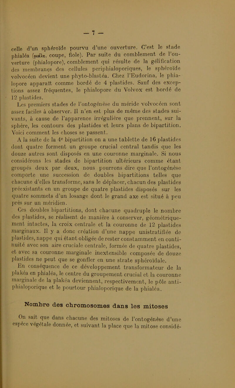 celle d’un sphéroïde pourvu d’une ouverture. C’est le stade phialéa coupe, fiole). Par suite du comblement de l’ou- verture (phialopore), comblement qui résulte de la gélification des membranes des cellules periphialoporiques, le sphéroïde volvocéen devient une phyto-blastéa. Chez l’Eudorina, le phia- lopore apparaît comme bordé de 4 plastides. Sauf des excep- tions assez fréquentes, le phialopore du Yolvox est bordé de • 12 plastides. Les premiers stades de l’ontogénèse du méride volvocéen sont assez faciles à observer. Il n’en est plus de même des stades sui- vants, à cause de l’apparence irrégulière que prennent, sur la sphère, les contours des plastides et leurs plans de bipartition. Voici comment les choses se passent. A la suite de la 4e bipartition on a une tablette de 16 plastides dont quatre forment un groupe crucial central tandis que les douze autres sont disposés en une couronne marginale. Si nous considérons les stades de bipartition ultérieurs comme étant groupés deux par deux, nous pourrons dire que l’ontogénèse comporte une succession de doubles bipartitions telles que chacune d’elles transforme, sans le déplacer, chacun des plastides préexistants en un groupe de quatre plastides disposés sur les quatre sommets d’un losange dont le grand axe est situé à peu près sur un méridien. Ces doubles bipartitions, dont chacune quadruple le nombre des plastides, se réalisent de manière à conserver, géométrique- ment intactes, la croix centrale et la couronne de 12 plastides marginaux. Il y a donc création d’une nappe unistratifiée de plastides, nappe qui étant obligée de rester constamment en conti- nuité avec son aire cruciale centrale, formée de quatre plastides, et avec sa couronne marginale inextensible composée de douze plastides ne peut que se gonfler en une strate sphéroïdale. En conséquence de ce développement transformateur de la plakéa en phialéa, le centre du groupement crucial et la couronne maiginale de la plakéa deviennent, respectivement, le pôle anti- pliialoporique et le pourtour phialoporique de la phialéa. Nombre des chromosomes dans les mitoses On sait que dans chacune des mitoses de l’ontogénèse d’une espèce végétale donnée, et suivant la place que la mitose considé-