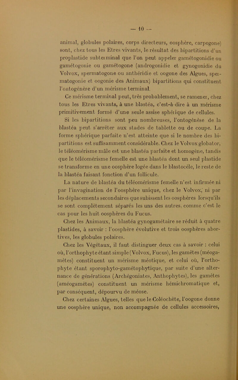 animal, globules polaires, corps directeurs, oosphère, carpogone) sont, chez tous les Etres vivants, le résultat des bipartitions d’un proplastide subteiminai que l’on peut appeler gamétogonidie ou gamétogonie ou gamétogone (androgonidie et gynogonidie du Volvox, spermatogone ou anthéridie et oogone des Algues, spei- matogonie et oogonie des Animaux) bipartitions qui constituent l’ontogénèse d’un mérisme terminal. Ce mérisme terminal peut, très probablement, se ramener, chez tous les Etres vivants, à une blastéa, c’est-à-dire à un mérisme primitivement formé d’une seule assise sphéiique de cellules. Si les bipartitions sont peu nombreuses, l’ontogénèse de la blastéa peut s’arrêter aux stades de tablette ou de coupe. La forme sphérique parfaite n’est atteinte que si le nombre des bi- partitions est suffisamment considérable. Chez le Volvox globator, le téléomérisme mâle est une blastéa parfaite et homogène, tandis que le téléomérisme femelle est une blastéa dont un seul plastide se transforme en une oosphère logée dans le blastocèle, le reste de la blastéa faisant fonction d’un follicule. La nature de blastéa du téléomérisme femelle n’est infirmée ni par l’invagination de l’oosphère unique, chez le Volvox,' ni par les déplacements secondaires que subissent les oosphères lorsqu’ils se sont complètement séparés les uns des autres, comme c’est le cas pour les huit oosphères du Fucus. Chez les Animaux, la blastéa gynogamétaire se réduit à quatre plastides, à savoir : l’oosphère évolutive et trois oosphères abor- tives, les globules polaires. Chez les Végétaux, il faut distinguer deux cas à savoir : celui où, l’orthophyte étant simple (Volvox, Fucus), les gamètes (méoga- mètes) constituent un mérisme méotique, et celui où, l’ortho- phyte étant sporophyto-gamétophytique, par suite d’une alter- nance de générations (Archégoniates, Anthophytes), les gamètes (améogamètes) constituent un mérisme hémichromatique et, par conséquent, dépourvu de méose. Chez certaines Algues, telles que le Coléochète, l’oogone donne une oosphère unique, non accompagnée de cellules accessoires,