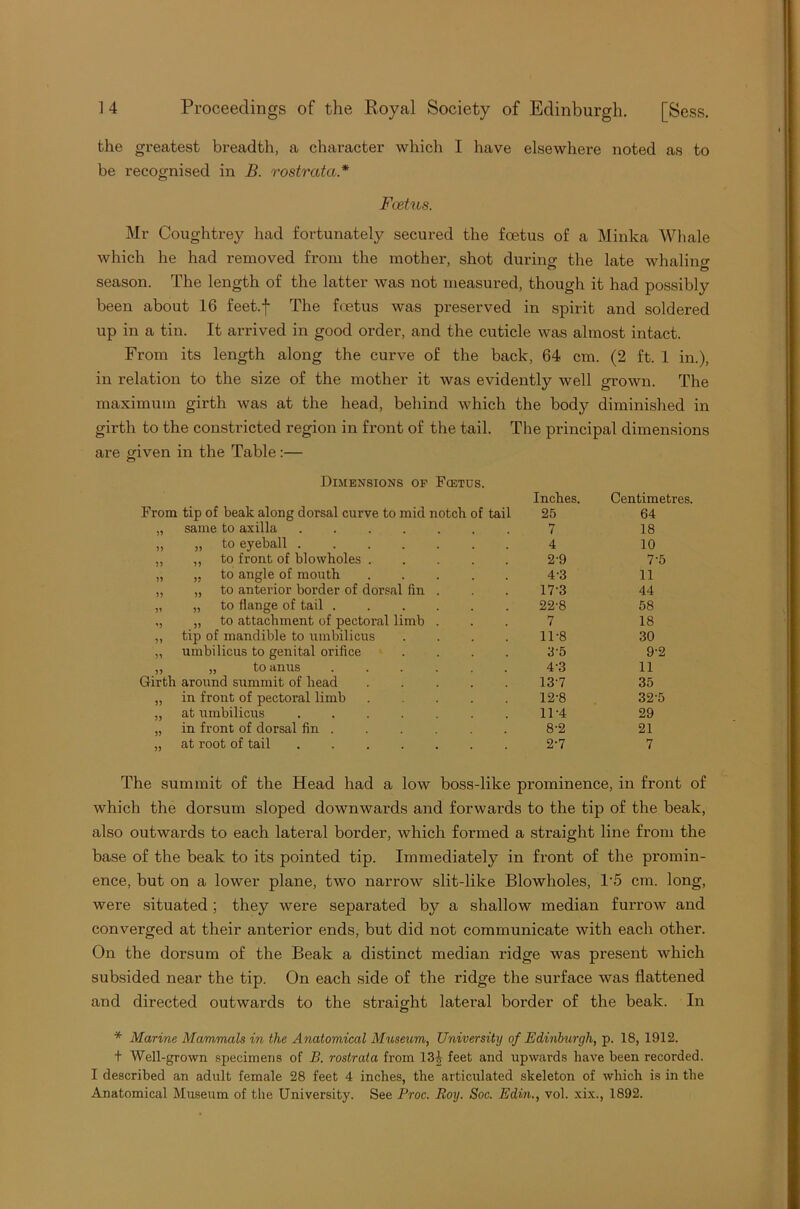 the greatest breadth, a character which I have elsewhere noted as to be recognised in B. rostrata* Foetus. Mr Coughtrey had fortunately secured the foetus of a Minka Whale which he had removed from the mother, shot during the late whaling season. The length of the latter was not measured, though it had possibly been about 16 feet.f The foetus was preserved in spirit and soldered up in a tin. It arrived in good order, and the cuticle was almost intact. From its length along the curve of the back, 64 cm. (2 ft. 1 in.), in relation to the size of the mother it was evidently well grown. The maximum girth was at the head, behind which the body diminished in girth to the constricted region in front of the tail. The principal dimensions are given in the Table :— Dimensions of Fietus. From tip of beak along dorsal curve to mid notch of tail Inches. 25 Centimetres 64 55 same to axilla 7 18 55 „ to eyeball 4 10 55 ,, to front of blowholes 2-9 7'5 55 „ to angle of mouth 4-3 11 55 „ to anterior border of dorsal fin . 17-3 44 55 „ to flange of tail ...... 22-8 58 '5 „ to attachment of pectoral limb . 7 18 55 tip of mandible to umbilicus .... 11-8 30 55 umbilicus to genital orifice .... 35 9'2 55 „ to anus ...... 43 11 Girth around summit of head 13’7 35 55 in front of pectoral limb ..... 12-8 325 55 at umbilicus 11-4 29 55 in front of dorsal fin 8-2 21 55 at root of tail 2-7 7 The summit of the Head had a low boss-like prominence, in front of which the dorsum sloped downwards and forwards to the tip of the beak, also outwards to each lateral border, which formed a straight line from the base of the beak to its pointed tip. Immediately in front of the promin- ence, but on a lower plane, two narrow slit-like Blowholes, T5 cm. long, were situated; they were separated by a shallow median furrow and converged at their anterior ends, but did not communicate with each other. On the dorsum of the Beak a distinct median ridge was present which subsided near the tip. On each side of the ridge the surface was flattened and directed outwards to the straight lateral border of the beak. In * Marine Mammals in the Anatomical Museum, University of Edinburgh, p. 18, 1912. + Well-grown specimens of B. rostrata from 134 feet and upwards have been recorded. I described an adult female 28 feet 4 inches, the articulated skeleton of which is in the Anatomical Museum of the University. See Proc. Roy. Soc. Edin., vol. xix., 1892.