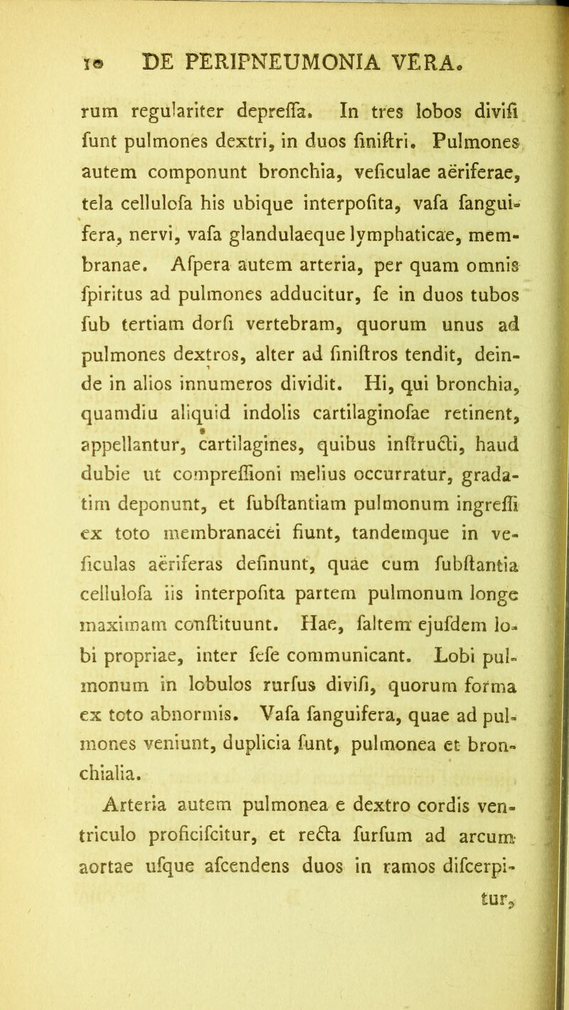 rum regulariter depreffa. In tres lobos divifi funt pulmones dextri, in duos finiftri. Pulmones autem componunt bronchia, veficulae aeriferae, tela cellulofa his ubique interpofita, vafa fanguh fera, nervi, vafa glandulaeque lymphaticae, mem- branae. Afpera autem arteria, per quam omnis fpiritus ad pulmones adducitur, fe in duos tubos fub tertiam dorfi vertebram, quorum unus ad pulmones dextros, alter ad finiftros tendit, dein- de in alios innumeros dividit. Hi, qui bronchia, quamdiu aliquid indolis cartilaginofae retinent, appellantur, cartilagines, quibus inftrudi, haud dubie ut compreflioni melius occurratur, grada- tirn deponunt, et fubftantiam pulmonum ingrefli ex toto membranacei fiunt, tandemque in ve- ficulas aeriferas definunt, quae cum fubftantia cellulofa iis interpofita partem pulmonum longe maximam conflituunt. Hae, faltem ejufdem lo- bi propriae, inter fefe communicant. Lobi pul- monum in lobulos rurfus divifi, quorum forma ex tcto abnormis. Vafa fanguifera, quae ad pul- mones veniunt, duplicia funt, pulmonea et bron- chialia. Arteria autem pulmonea e dextro cordis ven- triculo proficifcitur, et reda furfum ad arcum aortae ufque afcendens duos in ramos difcerpi- tur^