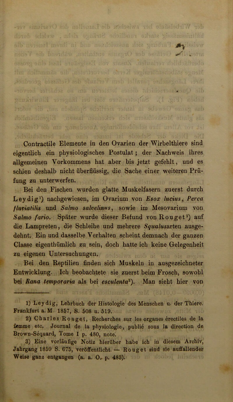 eigentlich ein physiologisches Postulat ; der Nachweis ihres allgemeinen Vorkommens hat aber bis jetzt gefehlt, und es schien deshalb nicht überflüssig, die Sache einer weiteren Prü- fung zu unterwerfen. Bei den Fischen wurden glatte Muskelfasern zuerst durch Leydig1) nachgewiesen, im Ovarium von Esox lucius, Perca fluvialilis und Salmo salvelinvs, sowie im Mesovarium von Salmo fario. Später wurde dieser Befund vonRouget2 3) auf die Lampreten, die Schleihe und mehrere 5^«a/wsarten ausge- dehnt. Ein und dasselbe Verhalten scheint demnach der ganzen Classe eigentbümlich zu sein, doch hatte ich keine Gelegenheit zu eigenen Untersuchungen. Bei den Reptilien finden sich Muskeln in ausgezeichneter Entwicklung. Ich beobachtete sie zuerst beim Frosch, sowohl bei Rana temporaria als bei esculentaz). Man sieht hier von 1) Leydig, Lehrbuch der Histologie des Menschen u. der Thiere. Frankfurt a. M 1857, S. 508 u. 519. 2) Charles Rougel, Recherches sur les Organes erectiles de la femme etc. Journal de la Physiologie, publie sous la direction de Brown-Sequard, Tome I p. 480, note. 3) Eine vorläufige Notiz hierüber habe ich in diesem Archiv, Jahrgang 1859 S. 675, veröffentlicht. — Rouget sind sie auffallender Weise ganz entgangen (a. a. CL p. 483).