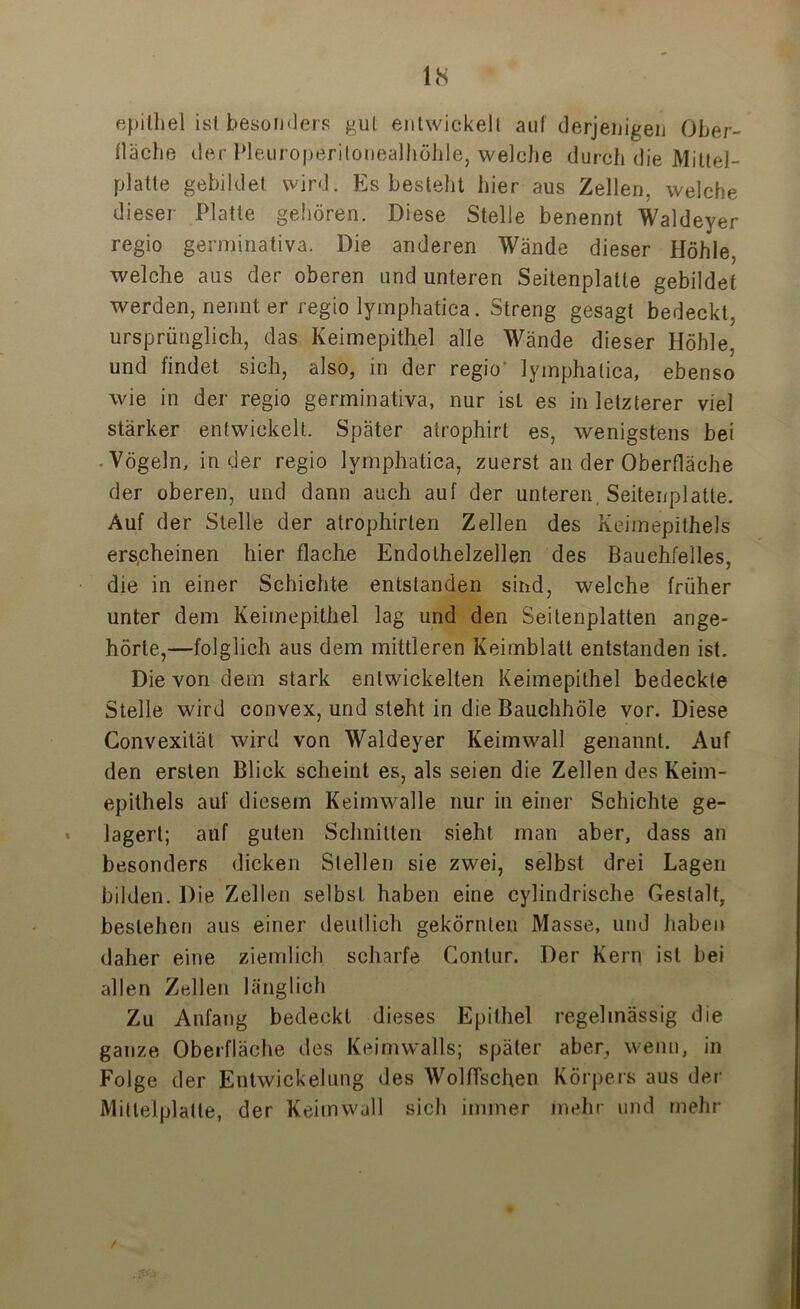 epithel ist besonders gut entwickelt aut derjenigen Ober- fläche der Pleuroperitonealhöhle, welche durch die Mittel- platte gebildet wird. Es besteht hier aus Zellen, welche dieser Platte gehören. Diese Stelle benennt Waldeyer regio germinativa. Die anderen Wände dieser Höhle, welche aus der oberen und unteren Seitenplatte gebildet werden, nennt er regio lymphatica. Streng gesagt bedeckt, ursprünglich, das Keimepithel alle Wände dieser Höhle, und findet sich, also, in der regio lymphatica, ebenso wie in der regio germinativa, nur ist es in letzterer viel stärker entwickelt. Später atrophirt es, wenigstens bei Vögeln, in der regio lymphatica, zuerst an der Oberfläche der oberen, und dann auch auf der unteren, Seitenplatte. Auf der Stelle der atrophirten Zellen des Keimepithels erscheinen hier flache Endothelzellen des Bauchfelles, die in einer Schichte entstanden sind, welche früher unter dem Keimepithel lag und den Seitenplatten ange- hörte,—folglich aus dem mittleren Keimblatt entstanden ist. Die von dem stark entwickelten Keimepithel bedeckte Stelle wird convex, und steht in die Bauchhöle vor. Diese Convexitäl wird von Waldeyer Keimwall genannt. Auf den ersten Blick scheint es, als seien die Zellen des Keim- epithels auf diesem Keimwalle nur in einer Schichte ge- lagert; auf guten Schnitten sieht man aber, dass an besonders dicken Stellen sie zwei, selbst drei Lagen bilden. Die Zellen selbst haben eine cylindrische Gestalt, bestehen aus einer deutlich gekörnten Masse, und haben daher eine ziemlich scharfe Contur. Der Kern ist bei allen Zellen länglich Zu Anfang bedeckt dieses Epithel regelmässig die ganze Oberfläche des Keimwalls; später aber, wenn, in Folge der Entwickelung des Wölfischen Körpers aus der Mittelplatte, der Keim wall sich immer inehr und mehr t