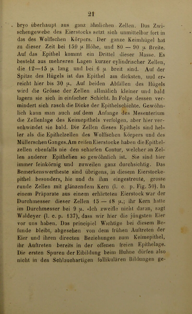 . bryo überhaupt aus ganz ähnlichen Zellen. Das Zwi- schengewebe des Eierstocks setzt sich unmittelbar fort in das des Wolffschen Körpers. Der ganze Keimhügel hat zu dieser Zeit bei 150 p. Höhe, und 80 — 90 p. Breite. Auf das Epithel kommt ein Dritte] dieser Masse. Es besteht aus mehreren Lagen kurzer cylindrischer Zellen, die 12—15 p. lang und bei 6 p. breit sind. Auf der Spitze des Hügels ist das Epithel am dicksten, uud er- reicht hier bis 30 p.. Auf beiden Abfällen des Hügels wird die Grösse der Zellen allmälich kleiner und bald lagern sie sich in einfacher Schicht, ln Folge dessen ver- mindert sich rasch die Dicke der Epithelschichte. Gewöhn- lich kann man auch auf dem Anfänge des Mesenterium die Zellenlage des Keimepithels verfolgen, aber hier ver- schwindet sie bald. Die Zellen dieses Epithels sind hel- ler als die Epithelzellen des Wolffschen Körpers und des Müllerschen Ganges.Am reifen Eierstocke haben die Epithel- zellen ebenfalls nie den scharfen Contur, welcher an Zel- len anderer Epithelien so gewöhnlich ist. Sie sind liier immer feinkörnig und zuweilen ganz durchsichtig. Das Bemerkenswerthesle sind übrigens, in diesem Eierstocke- pithel besonders, hie und da ihm eingestreute, grosse runde Zellen mit glänzendem Kern (1. c. p. Fig. 50). In einem Präparate aus einem erhärteten Eierstock war der Durchmesser dieser Zellen 15— 18 p..; ihr Kern hatte im Durchmesser bei 9 [x. «Ich zweifle nicht daran, sagt Waldeyer (1. c. p. 137), dass wir hier die jüngsten Eier vor uns haben. Das principiel Wichtige bei diesem Be- funde bleibt, abgesehen von dem frühen Auftreten der Eier und ihren directen Beziehungen zum Keimepithel, ihr Auftreten bereits in der ofTenen freien Epithelage. Die ersten Spuren der Eibildung beim Huhne dürfen also nicht in den Schlaucharligen follikulären Bildungen ge-