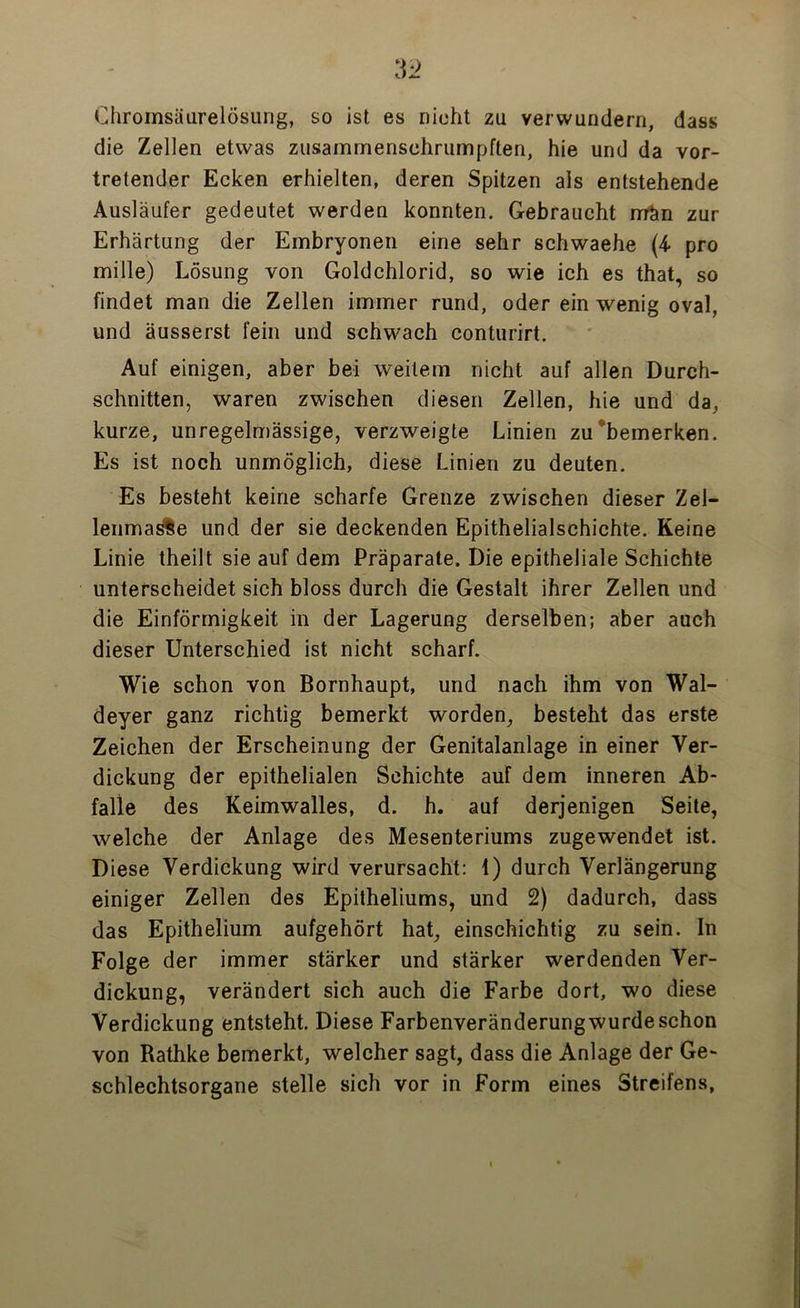 Chromsäurelösung, so ist es nicht zu verwundern, dass die Zellen etwas zusamrnenschrumpften, hie und da vor- tretender Ecken erhielten, deren Spitzen als entstehende Ausläufer gedeutet werden konnten. Gebraucht rrrän zur Erhärtung der Embryonen eine sehr schwaehe (4 pro mille) Lösung von Goldchlorid, so wie ich es that, so findet man die Zellen immer rund, oder ein wenig oval, und äusserst fein und schwach conturirt. Auf einigen, aber bei weitem nicht auf allen Durch- schnitten, waren zwischen diesen Zellen, hie und da, kurze, unregelmässige, verzweigte Linien zu bemerken. Es ist noch unmöglich, diese Linien zu deuten. Es besteht keine scharfe Grenze zwischen dieser Zel- lenmasfce und der sie deckenden Epithelialschichte. Keine Linie theilt sie auf dem Präparate. Die epitheliale Schichte unterscheidet sich bloss durch die Gestalt ihrer Zellen und die Einförmigkeit in der Lagerung derselben; aber auch dieser Unterschied ist nicht scharf. Wie schon von Bornhaupt, und nach ihm von Wal- deyer ganz richtig bemerkt worden, besteht das erste Zeichen der Erscheinung der Genitalanlage in einer Ver- dickung der epithelialen Schichte auf dem inneren Ab- falle des Keimwalles, d. h. auf derjenigen Seite, welche der Anlage des Mesenteriums zugewendet ist. Diese Verdickung wird verursacht: 1) durch Verlängerung einiger Zellen des Epitheliums, und 2) dadurch, dass das Epithelium aufgehört hat, einschichtig zu sein. In Folge der immer stärker und stärker werdenden Ver- dickung, verändert sich auch die Farbe dort, wo diese Verdickung entsteht. Diese Farbenveränderung wurde schon von Rathke bemerkt, welcher sagt, dass die Anlage der Ge- schlechtsorgane stelle sich vor in Form eines Streifens,