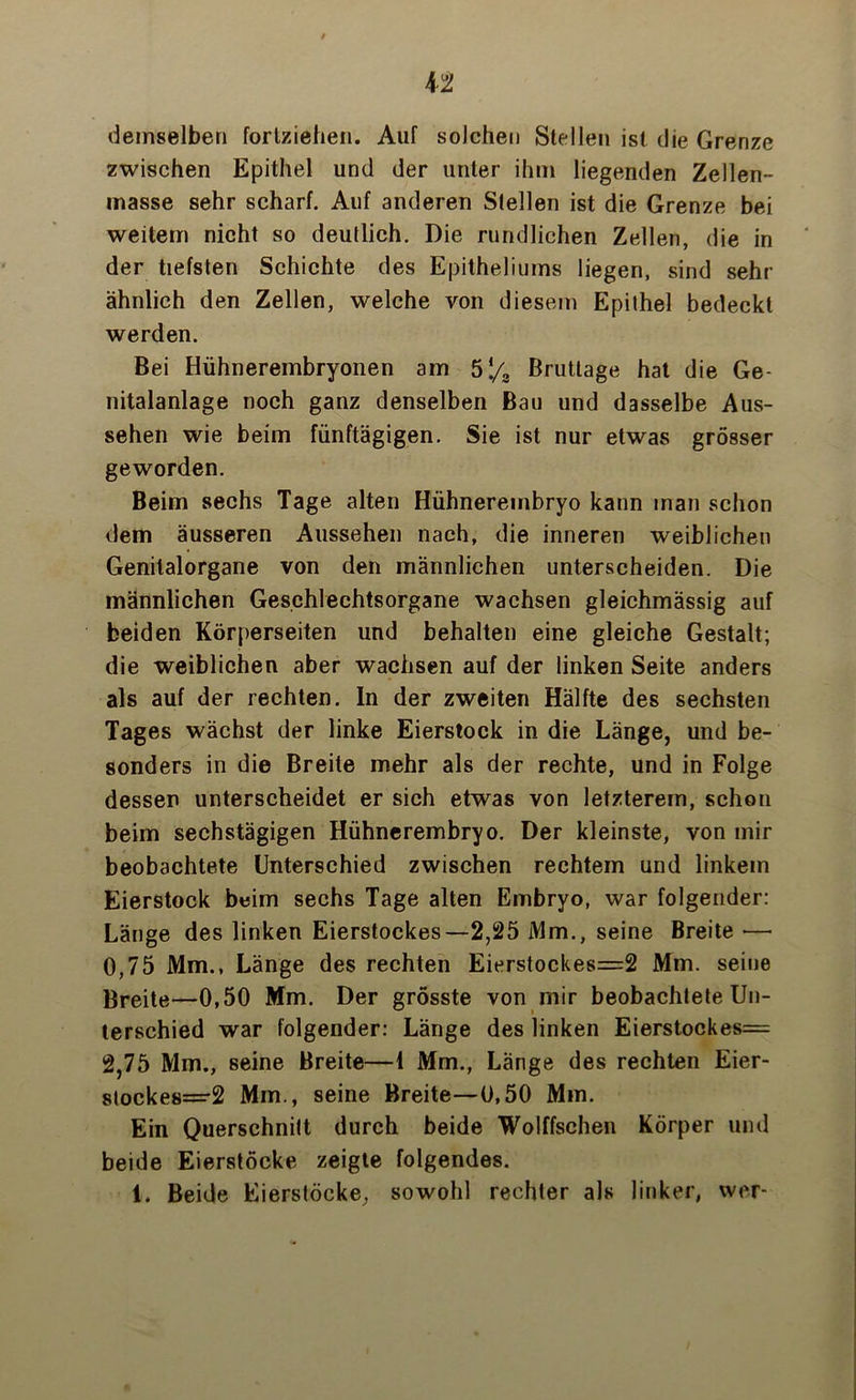 demselben fortziehen. Auf solchen Stellen ist die Grenze zwischen Epithel und der unter ihm liegenden Zellen- masse sehr scharf. Auf anderen Stellen ist die Grenze bei weitem nicht so deutlich. Die rundlichen Zellen, die in der tiefsten Schichte des Epitheliums liegen, sind sehr ähnlich den Zellen, welche von diesem Epithel bedeckt werden. Bei Hühnerembryonen am 51/3 Bruttage hat die Ge- nitalanlage noch ganz denselben Bau und dasselbe Aus- sehen wie beim fünftägigen. Sie ist nur etwas grösser geworden. Beim sechs Tage alten Hühnerembryo kann man schon dem äusseren Aussehen nach, die inneren weiblichen Genitalorgane von den männlichen unterscheiden. Die männlichen Geschlechtsorgane wachsen gleichmässig auf beiden Körperseiten und behalten eine gleiche Gestalt; die weiblichen aber wachsen auf der linken Seite anders als auf der rechten. In der zweiten Hälfte des sechsten Tages wächst der linke Eierstock in die Länge, und be- sonders in die Breite mehr als der rechte, und in Folge dessen unterscheidet er sich etwas von letzterem, schon beim sechstägigen Hühnerembryo. Der kleinste, von mir beobachtete Unterschied zwischen rechtem und linkem Eierstock beim sechs Tage alten Embryo, war folgender: Länge des linken Eierstockes—2,25 Mm., seine Breite •— 0,75 Mm., Länge des rechten Eierstockes=2 Mm. seine Breite—0,50 Mm. Der grösste von mir beobachtete Un- terschied war folgender: Länge des linken Eierstockes= 2,75 Mm., seine Breite—1 Mm., Länge des rechten Eier- stockes=-2 Mm., seine Breite—0,50 Mm. Ein Querschnitt durch beide Wolffschen Körper und beide Eierstöcke zeigte folgendes. 1. Beide Eierstöcke, sowohl rechter als linker, wer-