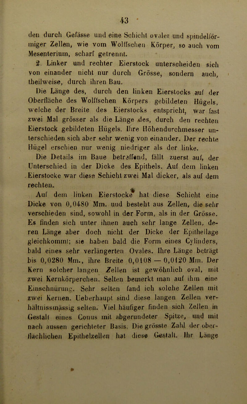 den durch Gefässe und eine Schicht ovaler und spindelför- miger Zellen, wie vom Wölfischen Körper, so auch vom Mesenterium, scharf getrennt. 2. Linker und rechter Eierstock unterscheiden sich von einander nicht nur durch Grösse, sondern auch, theilweise, durch ihren Bau. Die Länge des, durch den linken Eierstocks auf der Oberfläche des Wolffschen Körpers gebildeten Hügels, weiche der Breite des Eierstocks entspricht, war fast zwei Mal grösser als die Länge des, durch den rechten Eierstock gebildeten Hügels. Ihre Höhendurchmesser un- terschieden sich aber sehr wenig von einander. Der rechte Hügel erschien nur wenig niedriger als der linke. Die Details im Baue betreffend, fällt zuerst auf, der Unterschied in der Dicke des Epithels. Auf dem linken Eierstocke war diese Schicht zwei Mal dicker, als auf dem rechten. % Auf dem linken Eierstocke hat diese Schicht eine Dicke von 0,0480 Mm. uud besteht aus Zellen, die sehr verschieden sind, sowohl in der Form, als in der Grösse. Es finden sich unter ihnen auch sehr lange Zellen, de- ren Länge aber doch nicht der Dicke der Epithellage gleichkommt; sie haben bald die Form eines Cylinders, bald eines sehr verlängerten Ovales. Ihre Länge beträgt bis 0,0280 Mm., ihre Breite 0,0108 — 0,0120 Mm. Der Kern solcher langen Zellen ist gewöhnlich oval, mit zwei Kernkörperchen. Selten bemerkt man auf ihm eine Einschnürung. Sehr selten fand ich solche Zellen mit zwei Kernen. Ueberhaupt sind diese langen Zellen ver- hältnissmässig selten. Viel häufiger finden sich Zellen in Gestalt eines Conus mit abgerundeter Spitze, und mit nach aussen gerichteter Basis. Die grösste Zahl der ober- flächlichen Epithelzellen hat diese Gestalt. Ihr Länge •»