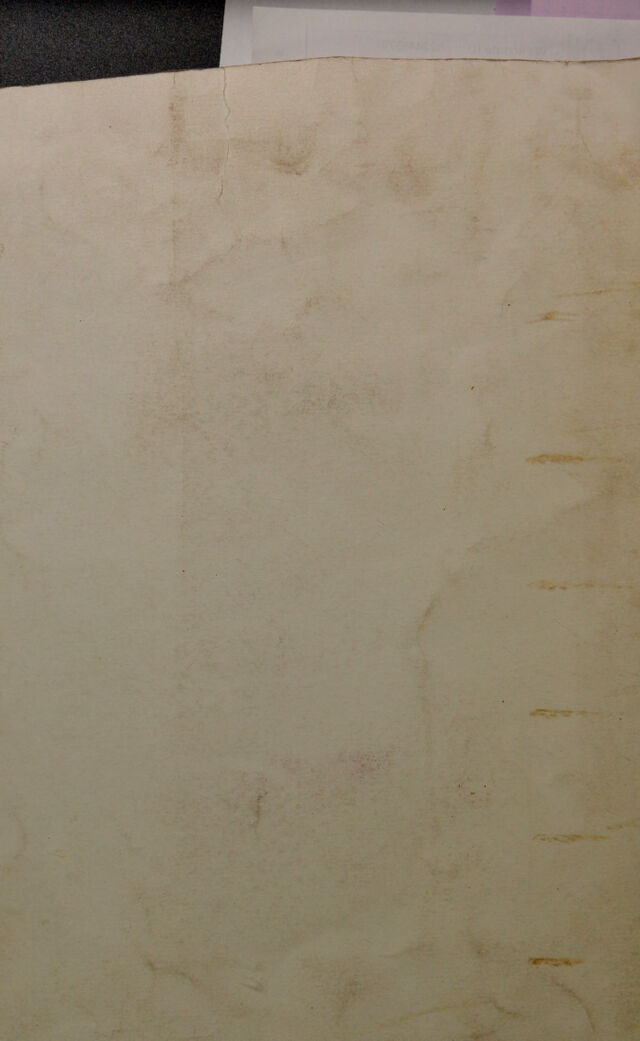 digitised image 2