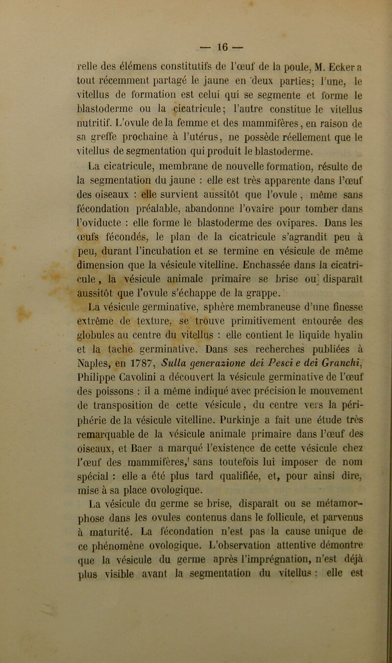 relie des élémens constitutifs de l’œuf de la poule, M. Eckera tout récemment partagé le jaune en 'deux parties; Lune, le vitellus de formation est celui qui se segmente et forme le blastoderme ou la cicatricule ; l’autre constitue le vitellus nutritif. L’ovule delà femme et des mammifères, en raison de sa greffe prochaine à l’utérus, ne possède réellement que le vitellus de segmentation qui produit le blastoderme. La cicatricule, membrane de nouvelle formation, résulte de la segmentation du jaune : elle est très apparente dans l’œuf des oiseaux : elle survient aussitôt que l’ovule, même sans fécondation préalable, abandonne l’ovaire pour tomber dans l’oviducte : elle forme le blastoderme des ovipares. Dans les œufs fécondés, le plan de la cicatricule s’agrandit peu à peu, durant l’incubation et se termine en vésicule de même dimension que la vésicule vitelline. Enchâssée dans la cicatri- cule , la vésicule animale primaire se brise ou disparaît aussitôt que l’ovule s’échappe de la grappe. La vésicule germinative, sphère membraneuse d’une finesse extrême de texture, se trouve primitivement entourée des globules au centre du vitellus : elle contient le liquide hyalin et la tache germinative. Dans ses recherches publiées à Naples, en 1787, Sulla cjenerazione dei Pesci e dei Granclii, Philippe Cavolini a découvert la vésicule germinative de l’œuf des poissons : il a même indiqué avec précision le mouvement de transposition de cette vésicule, du centre vers la péri- phérie de la vésicule vitelline. Purkinje a fait une étude très remarquable de la vésicule animale primaire dans l’œuf des oiseaux, et Baer a marqué l’existence de cette vésicule chez l’œuf des mammifères,’ sans toutefois lui imposer de nom spécial : elle a été plus tard qualifiée, et, pour ainsi dire, mise à sa place ovologique. La vésicule du germe se brise, disparaît ou se métamor- phose dans les ovules contenus dans le follicule, et parvenus à maturité. La fécondation n’est pas la cause unique de ce phénomène ovologique. L’observation attentive démontre que la vésicule du germe après l’imprégnation, n’est déjà plus visible avant la segmentation du vitellus : elle est