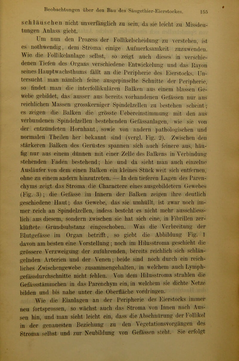 sch lauschen nicht unverfänglich zu sein, da sie leicht zu. Missdeu- tungen Anlass giebt. Uni nun den Prozess der Follikelscheidung zu verstehen, ist es nothwendig, dein Stroma einige Aufmerksanikeit zuziiwenden. Wie die I ollikelanlage selbst, so zeigt auch dieses in verschie- denen Tiefen des Organs verschiedene Entwickelung und das Ptayon seines Hauptwachsthunis fällt an die Peripherie des Eierstocks. Un- tersucht man nämlich feine ausgepinselte Schnitte der Peripherie, so rindet man die interfollikulären P)alken aus einem blassen Ge- webe gebildet, das ausser aus bereits vorhandenen Gefässen nur aus reichlichen Massen grosskerniger Spindelzellen zu bestehen scheint ; es zeigen die Balken die grösste Uebereinstimmung mit den aus verbundenen Spindelzellen bestehenden Gefässanlagen, wie sie von der entzündeten Hornhaut, sowie von andern pathologischen und normalen Theilen her bekannt sind (vergl. Fig. 2). Zwischen den stärkeren Balken des Gerüstes spannen sich auch feinere aus, häu- rig nur aus einem dünnen mit einer Zelle des Balkens in yerbindung stehenden Faden bestehend; hie und da sieht man auch einzelne Ausläufer von dem einen Balken ein kleines Stück weit sich entfernen, ohne zu einem andern hinzutreten. — In den tieferen Lagen des Paren- chyms zeigt das Stroma die Charactere eines ausgebildetern Gewebes (Fig. 3); die Gefässe im Innern der Balken zeigen ihre deutlich geschiedene Haut; das Gewebe, das sie umhüllt, ist zwar noch im- mer reich an Spindelzellen, indess besteht es nicht mehr ausschliess- lich aus diesem, sondern zwischen sie hat sich eine, in Fibrillen zer- klüftete Gruudsubstanz eingeschoben. Was die Verbreitung der Blutgefässe im Organ betrifft, so giebt die Abbildung Fig. 1 davon am besten eine Vorstellung; noch im Hilusstroma geschieht die grössere Verzweigung der zuführenden, bereits reichlich sich schlän- gelnden Arterien und der Venen; beide sind noch durch ein reich- liches Zwischengewebe zusammengehalten, in w'elchem auch Lymph- gefässdurchschnitte nicht fehlen. Von dem Hilusstroma strahlen die Gefässstämmchen in das Parenchym ein, in welchem sie dichte Netze bilden und bis nahe unter die Oberfläche Vordringen. Wie die Eianlagen an der Peripherie des Eierstocks iniimü' neu fortsprossen, so wächst auch das Stroma von Innen nach Aus- sen hin, und man sieht leicht ein, dass die Abschnürung der Follikel in der genauesten Beziehung zu den Vegetationsvorgängen des Stroma selbst und zur Neubildung von Gefässen steht. Sie erfolgt