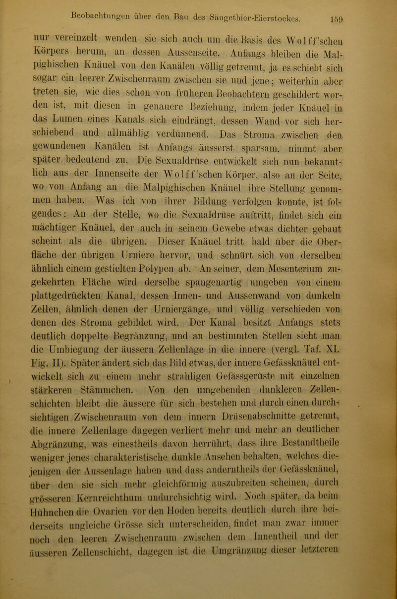 nur vereinzelt wenden sie sich auch um die Basis des Wolff’sclien Körpers herum, an dessen Aiissenseite. Anfangs bleiben die Mal- pighischen Knäuel von den Kanälen völlig getrennt, ja es schiebt sich sogai ein leei er Zwischenraum zwischen sie und jene 5 Aveiterhiu aber tieten sie, wie dies schon von früheren Beobachtern geschildert wor- den ist, mit diesen in genauere Beziehung, indem jeder Knäuel in das Lumen eines Kanals sich eiudrängt, dessen Wand vor sich her- schiebeud und allmählig verdünnend. Das Stroma zwischen den gewundenen Kanälen ist Anfangs äusserst sparsam, nimmt aber später bedeutend zu. Die Sexualdrüse entwickelt sich mm bekannt- lich aus der Innenseite der Wolf f’schen Köi’per, also an der Seite, wo von Anfang an die Malpighischen Knäuel ihre Stellung genom- men haben. Was ich von ihrer Bildung verfolgen konnte, ist fol- gendes : An der Stelle, wo die Sexualdrüse auftritt, findet sich ein mächtiger Knäuel, der auch in seinem Gewebe etwas dichter gebaut scheint als die übrigen. Dieser Knäuel tritt bald über die Ober- fläche der übrigen Uruiere hervor, und schnürt sich von derselben ähnlich einem gestielten Polypen ab. An seiner, dem Mesenterium zu- gekehrten Fläche wird derselbe spangenartig umgeben von einem plattgedrückten Kanal, dessen Innen- und Aussenwand von dunkeln Zellen, ähnlich denen der ürniergänge, und völlig verschieden von denen des Stroma gebildet wird. Der Kanal besitzt Anfangs stets deutlich doppelte Begränzung, und an bestimmten Stellen sieht man die Umbiegung der äussern Zellenlage in die innere (vergl. Taf. XI. Fig. U). Später ändert sich das Bild etwas, der innere Gefässknäuel ent- wickelt sich zu einem mehr strahligen Gefässgerüste mit eüizelnen stärkeren Stämmchen. Von den umgebenden dunkleren Zellen- schichten bleibt die äussere für sich bestehen und durch einen durch- sichtigen Zwischenraum von dem innern Drüsenabsclmitte getrennt, die innere Zellenlage dagegen verliert mehr und mehr an deutlicher Abgränzung, was einestheils davon herrührt, dass ihre Bestandtheile weniger jenes charakteristische dunkle Ansehen behalten, welches die- jenigen der Au.ssenlage haben und dass anderiitlieils der Gelässknäuel, über den sie sich mehr gleichförmig aiisziibreiten scheinen, durch grösseren Kernreichthiim undurchsichtig wird. Noch si)äter, da beim Hühnchen die Ovai'ien vor den Hoden l)creits deutlich diircli ihre bei- derseits ungleiche Grösse sich unterscheiden, findet man zwar immer noch den leeren Zwischenraum zwischen dem Innentheil und der äusseren Zellenschicht, dagegen ist die Umgränziing dieser letzteren