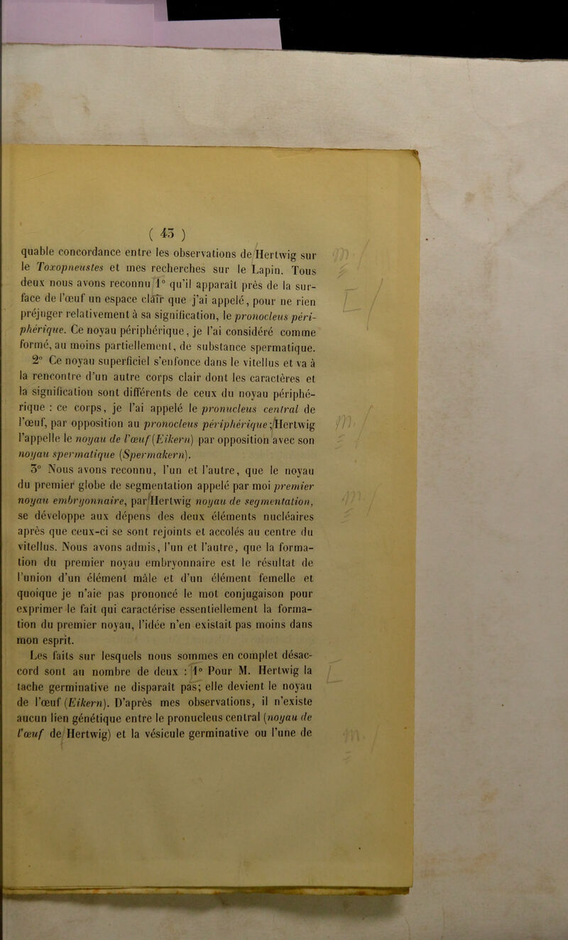 quable concordance entre les observations de Hertwig sur le Toxop tiens tes et mes recherches sur le Lapin. Tous deux nous avons reconnu 1° qu’il apparaît près de la sur- face de l’œuf un espace clair que j’ai appelé, pour ne rien préjuger relativement à sa signification, le pronocleus péri- phérique. Ce noyau périphérique, je l’ai considéré comme formé, au moins partiellement, de substance spermatique. 2° Ce noyau superficiel s’enfonce dans le vitellus et va à la rencontre d’un autre corps clair dont les caractères et la signification sont différents de ceux du noyau périphé- rique : ce corps, je l’ai appelé le pronucleus central de 1 œuf, par opposition au pronocleus périphérique;/Hertwig l’appelle le noyau de l'œuf (Eikern) par opposition avec son noyau spermatique (Sperrnakern). 3° Nous avons reconnu, l’un et l’autre, que le noyau du premier globe de segmentation appelé par moi premier noyau embryonnaire, parHerlwig noyau de segmentation, se développe aux dépens des deux éléments nucléaires après que ceux-ci se sont rejoints et accolés au centre du vitellus. Nous avons admis, l’un et l’autre, que la forma- tion du premier noyau embryonnaire est le résultat de l’union d’un élément mâle et d’un élément femelle et quoique je n’aie pas prononcé le mol conjugaison pour exprimer le fait qui caractérise essentiellement la forma- tion du premier noyau, l’idée n’en existait pas moins dans mon esprit. Les faits sur lesquels nous sommes en complet désac- cord sont au nombre de deux : 1° Pour M. Hertwig la tache germinative ne disparaît pas; elle devient le noyau de l’œuf (Eikern). D’après mes observations, il n’existe aucun lien génétique entre le pronucleus central (noyau de l'œuf de Hertwig) et la vésicule germinative ou l’une de