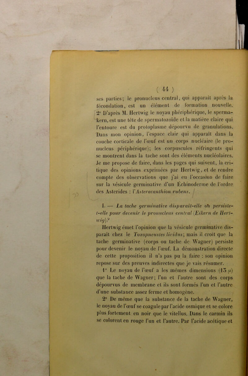 ses parties; le pronucleus central, qui apparaît après la fécondation, est un élément de formation nouvelle. 2° D’après M. Hertwig le noyau phériphérique, le sperma- kern, est une tête de spermatozoïde et la matière claire qui l’entoure est du protoplasme dépourvu de granulations. Dans mon opinion, l’espace clair qui apparaît dans la couche corticale de l’œuf est un corps nucléaire (le pro- nucieus périphérique); les corpuscules réfringents qui se montrent dans la tache sont des éléments nucléolaires. Je me propose de faire, dans les pages qui suivent, la cri- tique des opinions exprimées par Hertwig, et de rendre compte des observations que j’ai eu l’occasion de faire sur la vésicule germinative d’un Échinoderme de l’ordre des Asterides : Y As ter acanlhion rubens. I. — La tache germinative disparaît-elle oh persiste- t-elle pour devenir le pronucleus central (.Eikern de Herl- wig)? Hertwig émet l’opinion que la vésicule germinative dis- paraît chez le Toxopneusles lividus\ mais il croit que la tache germinative (corps ou tache de Wagner) persiste pour devenir le noyau de l’œuf. La démonstration directe de cette proposition il n’a pas pu la faire : son opinion repose sur des preuves indirectes que je vais résumer. 1° Le noyau de l’œuf a les mêmes dimensions (13 u) que la tache de Wagner; l’un et l’autre sont des corps dépourvus de membrane et ils sont formés l’un et l’autre d’une substance assez ferme et homogène. 2° De même que la substance de la tache de Wagner, le uoyau de l’œuf se coagule par l’acide osmique et se colore plus fortement en noir que le vilellus. Dans le carmin ils se colorent en rouge l’un et l’autre. Par l’acide acétique et