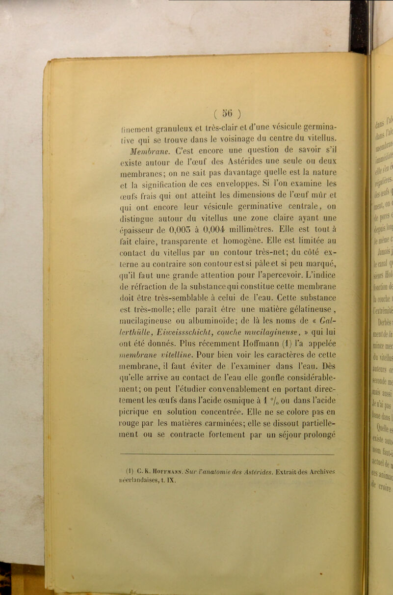 • - ( 5<> ) finement granuleux et très-clair et d’une vésicule germina- tive qui se trouve dans le voisinage du centre du vitellus. Membrane. C’est encore une question de savoir s’il existe autour de l’œuf des Astérides une seule ou deux membranes; on ne sait pas davantage quelle est la nature et la signification de ces enveloppes. Si l’on examine les œuls frais qui ont atteint les dimensions de l’œuf mûr et qui ont encore leur vésicule germinative centrale, on distingue autour du vitellus une zone claire ayant une épaisseur de 0,005 à 0,004 millimètres. Elle est tout à fait claire, transparente et homogène. Elle est limitée au contact du vitellus par un contour très-net; du côté ex- terne au contraire son contour est si pâle et si peu marqué, qu’il faut une grande attention pour l’apercevoir. L’indice de réfraction de la subslancequi constitue celte membrane doit ctre très-semblable à celui de l’eau. Cette substance est très-molle; elle paraît être une matière gélatineuse , mucilagineuse ou albuminoïde; de là les noms de « Gal- lerthüllc, Ehveissschicht, couche mucilagineuse, » qui lui ont été donnés. Plus récemment Hoffmann (i) l’a appelée membrane vitelline. Pour bien voir les caractères de cette qu’elle arrive au contact de l’eau elle gonfle considérable- ment; on peut l’étudier convenablement en portant direc- tement les œufs dans l’acide osmique à 1 °/0 ou dans l’acide picrique en solution concentrée. Elle ne se colore pas en rouge par les matières carminées; elle se dissout partielle- ment ou se contracte fortement par un séjour prolongé (1) C. K. Hoffmann. Sur Vanatomie des Astérides. Extrait des Archives néerlandaises, t. IX.