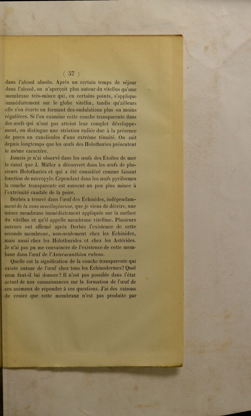 dans l’alcool absolu. Après un certain temps de séjour dans l’alcool, on n’aperçoit plus autour du viteilus qu’une membrane très-mince qui, en certains points, s’applique immédiatement sur le globe vitellin, tandis qu’ailleurs elle s’en écarte en formant des ondulations plus ou moins régulières. Si l’on examine cette couche transparente dans des œufs qui n’ont pas atteint leur complet développe- ment, on distingue une striation radiée due à la présence de pores en canalicules d’une extrême ténuité. On sait depuis longtemps que les œufs des Holothuries présentent le même caractère. Jamais je n’ai observé dans les œufs des Étoiles de mer le canal que J. Muller a découvert dans les œufs de plu- sieurs Holothuries et qui a été considéré comme faisant fonction de micropyle. Cependant dans les œufs pyriformes la couche transparente est souvent un peu plus mince à l’extrémité caudale de la poire. Derbès a trouvé dans l’œuf des Échinides, indépendam- ment de la zone mucilagineuse, que je viens de décrire, une mince membrane immédiatement appliquée sur la surface du viteilus et qu’il appelle membrane vitelline. Plusieurs auteurs ont affirmé après Derbès l’existence de cette seconde membrane, non-seulement chez les Échinides, mais aussi chez les Hololhurides et chez les Astérides. .Je n’ai pas pu me convaincre de l’existence de cette mem- bane dans l’œuf de VAsferacanthion rabens. Quelle est la signification de la couche transparente qui existe autour de l’œuf chez tous les Échinodermes? Quel nom faut-il lui donner? Il n’est pas possible dans l’état actuel de nos connaissances sur la formation de l’œuf de ces animaux de répondre à ces questions. J’ai des raisons de croire que cette membrane n’est pas produite par