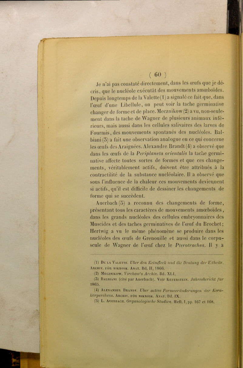 Je n’ai pas constaté directement, dans les œufs que je dé- cris, que le nucléole exécutât des mouvements amœboïdes. Depuis longtemps de la Valette(1) a signalé ce fait que, dans l’œuf d’une Libellule, on peut voir la tache germinative changer de forme et de place. Mecznikow (2) a vu, non-seule- ment dans la tache de Wagner de plusieurs animaux infé- rieurs, mais aussi dans les cellules salivaires des larves de Fourmis, des mouvements spontanés des nucléoles. Bal- biani (5) a fait une observation analogue en ce qui concerne les œufs des Araignées. Alexandre Brandt(4) a observé que dans les œufs de la Periplanela orientalis la tache germi- native affecte toutes sortes de formes et que ces change- ments, véritablement actifs, doivent être attribués à la contractilité de la substance nucléolaire. Il a observé que sous l’influence de la chaleur ces mouvements deviennent si actifs, qu’il est difficile de dessiner les changements de forme qui se succèdent. Auerbacli(5) a reconnu des changements de forme, présentant tous les caractères de mouvements amœboïdes, dans les grands nucléoles des cellules embryonnaires des Muscides et des taches germinatives de l’œuf du Brochet; Hertwig a vu le même phénomène se produire dans les nucléoles des œufs de Grenouille et aussi dans le corpu- scule de Wagner de l’œuf chez le Pterolrachea. Il y a (1) De la Valette. U hcr den Keimfleck und die Deulung der Eitheile. Archiv. fur .iiikrosk. Anvt. Bd. II, 1866. (2) Mecznikow. Virchow's Archiv. Bd. XLI. (3) Balbiani (cité par Auerbach). Voir Keferstein. Jahresberichl für 1863. (4) Alexander Brandt. Uber active Formverdnderungen der Kern- korperchens. Archiv. fur mikrosk. An vt. Bd. IX. (3) L. Auerbacfi. Organologische Studien Hefi. I. pp. 167 et 168.