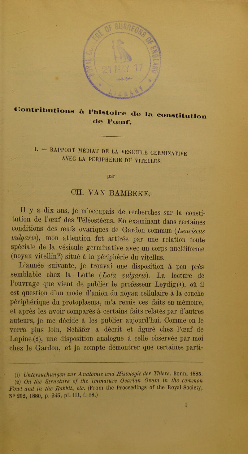 Contributio ns à l’histoire de la constitutioa de l’œuf. I. - RAPPORT MÉDIAT DE LA VÉSICULE GERMINATIVE AVEC LA PÉRIPHÉRIE DU VITELLUS par CH. YAN BAMBEKE. Il y a dix ans, jo m occupais de recherches sur la consti- tution de 1 œuf des Téléostéens. En examinant dans certaines conditions des œufs ovariques de Gardon commun {Leuciscus viilgaris), mon attention fut attirée par une relation toute spéciale de la vésicule germinative avec un corps nucléiforme (noyau vitellin?) situé à la périphérie du vifellus. L’année suivante, je trouvai une disposition à peu près semblable chez la Lotte (Lota vulgaris). La lecture de l’ouvrage que vient de publier le professeur Leydig(i), où il est question d’un mode d’union du noyau cellulaire à la couche périphérique du protoplasma, m’a remis ces faits en mémoire, et après les avoir comparés à certains faits relatés par d'autres auteui’s, je me décide à les publier aujourd’hui. Comme on le verra plus loin, Schafer a décrit et figuré chez l’œuf de Lapine (2), ime disposition analogue à celle observée par moi chez le Gardon, et je compte démontrer que certaines parti- (1) Uniersuchungen zur Anatomie und Histologie der Thiere. 1883. (2) On the Structure of tlie immature Ovarian Ovum in tlie comrnon Fowl and in the Rabbit, etc. (From the Procceclings of tlie Royal Society, N» 202, 1880, p. 243, pl. III, f. 18.)