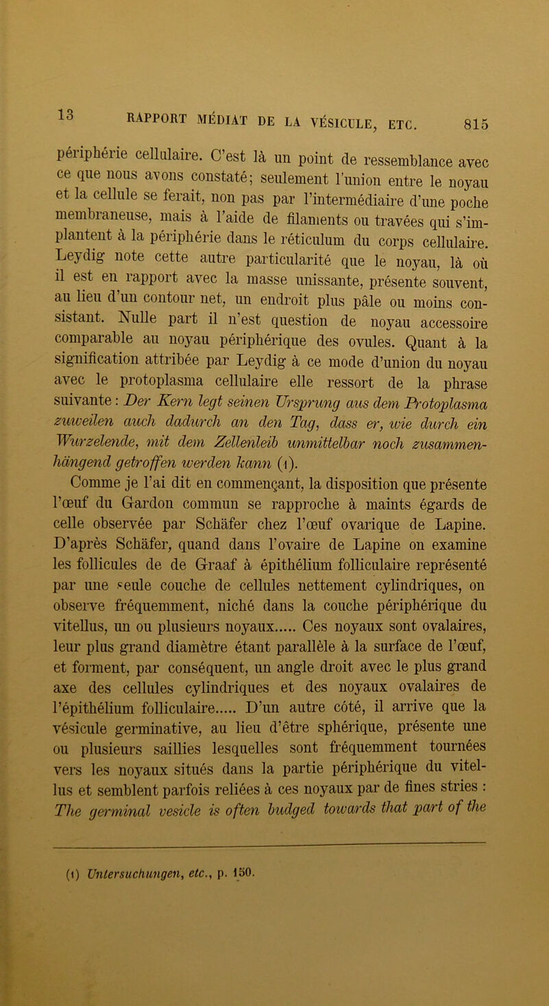 péliphérie cellulaire. C’est là un point de ressemblance avec ce que nous avons constaté; seulement l’union entre le noyau et la cellule se ferait, non pas par l’intermédiaire d’une poche membianeuse, mais à 1 aide de filaments ou travées qui s’im- plantent à la périphérie dans le réticulum du corps cellulaire. Leydig note cette autre particularité que le noyau, là où il est en rapport avec la masse unissante, présente souvent, au lieu d’un contour net, un endi'oit plus pâle ou moins con- sistant. Nulle part il n est question de noyau accessoire comparable au noyau périphérique des ovules. Quant à la signification attribée par Leydig à ce mode d’union du noyau avec le protoplasma cellulaire elle ressort de la phrase suivante : Ber Kern legt seinen Ursprung ans dem Protoplasma zuweUen auch dadurch an den Tag, dass er, ivie durch ein Wurzelende, mit dem Zellenleib immittelhar noch zusammen- lidngend getroffen werden kann (i). Comme je l’ai dit en commençant, la disposition que présente l’œuf du G-ardon commun se rapproche à maints égards de celle observée par Schâfer chez l’œuf ovarique de Lapine. D’après Schâfer, quand dans l’ovaire de Lapine on examine les follicules de de Graaf à épithélium folliculaii’e représenté par une ‘^eule couche de cellules nettement cylindriques, on observe fréquemment, niché dans la couche périphérique du vitellus, un ou plusieurs noyaux Ces noyaux sont ovalaires, leur plus grand diamètre étant parallèle à la surface de l’œuf, et forment, par conséquent, un angle droit avec le plus grand axe des cellules cylindriques et des noyaux ovalaires de l’épithéhum folliculaire D’un autre côté, il arrive que la vésicule germinative, au lieu d’être sphérique, présente une ou plusieurs saillies lesquelles sont fréquemment tournées vers les noyaux situés dans la partie périphérique du vitel- lus et semblent parfois reliées à ces noyaux par de fines stries : The germinal vesicle is often hudged toivards tliat part of the