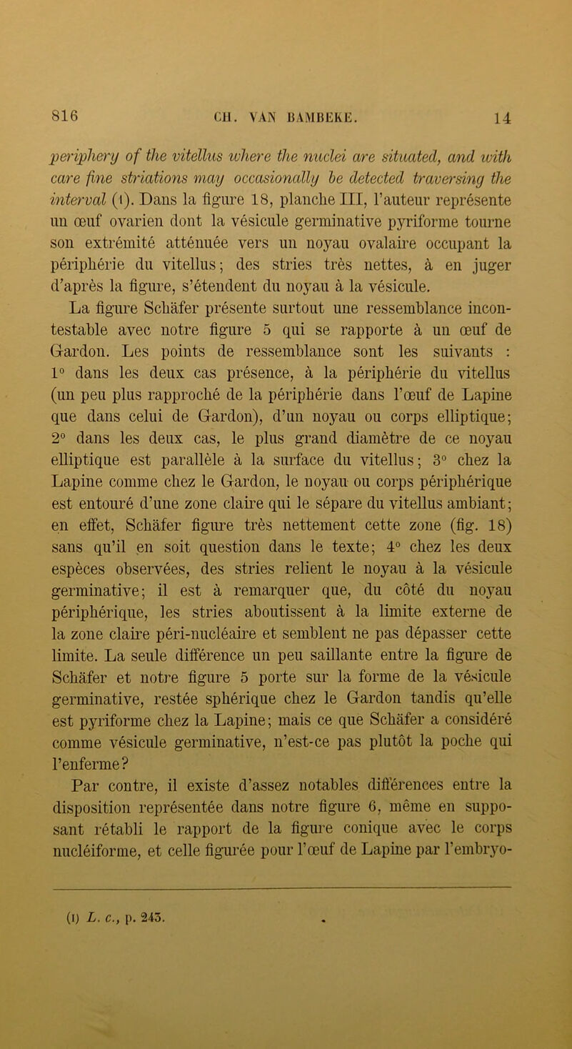 p&t'iplie7'y of the vitellus where tJie nudei are situated, and luith care jine striations may occasionally le detected traversiny the interval (i). Dans la figure 18, planche III, l’auteur représente un œuf ovarien dont la vésicule germinative pyriforme tourne son extrémité atténuée vers un noyau ovalame occupant la périphérie du vitellus; des stries très nettes, à en juger d’après la figure, s’étendent du noyau à la vésicule. La figure Schafer présente surtout une ressemblance incon- testable avec notre figure 5 qui se rapporte à un œuf de G-ardon. Les points de ressemblance sont les suivants ; 1° dans les deux cas présence, à la périphérie du vitellus (un peu plus rapproché de la périphérie dans l’œuf de Lapine que dans celui de Gardon), d’un noyau ou corps elliptique; 2° dans les deux cas, le plus grand diamètre de ce noyau elliptique est parallèle à la surface du vitellus; 3° chez la Lapine comme chez le Gardon, le noyau ou corps périphérique est entouré d’une zone clame qui le sépare du viteUus ambiant; en effet, Schafer figure très nettement cette zone (fig. 18) sans qu’il en soit question dans le texte; 4° chez les deux espèces observées, des stries relient le noyau à la vésicule germinative; il est à remarquer que, du côté du noyau périphérique, les stries aboutissent à la limite externe de la zone claire péri-nucléaire et semblent ne pas dépasser cette limite. La seule différence un peu saillante entre la figure de Schafer et notre figure 5 porte sur la forme de la vésicule germinative, restée sphérique chez le Gardon tandis qu’elle est pyriforme chez la Lapine ; mais ce que Schafer a considéré comme vésicule germinative, n’est-ce pas plutôt la poche qui l’enferme? Par contre, il existe d’assez notables diôerences entre la disposition représentée dans notre figure 6, même en suppo- sant rétabli le rapport de la figure conique avec le corps nucléiforme, et celle figuiœe pour l’œuf de Lapine par l’embryo-