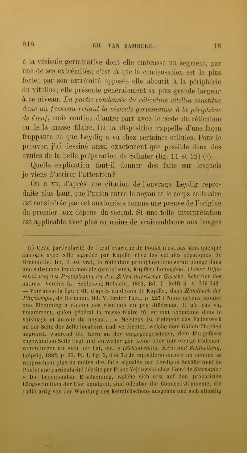 818 à la vésicule germinative dont elle embrasse un segment, par une de ses extrémités; c’est là que la condensation est le plus forte; par son extrémité opposée elle aboutit à la périphérie du vitellus; elle présente généralement sa plus grande largeur à ce niveau. La partie condensée du réticulum vitéllin constituée donc un faisceau reliant la vésicide germinative à la périplm'ie de Vœuf, mais continu d’autre part avec le reste du réticulum ou de la masse filaire. Ici la disposition rappelle d’une façon frappante ce que Leydig a vu chez certaines cellules. Pour le prouver, j’ai dessiné aussi exactement que possible deux des ovules de la belle préparation de Schâfer (fig. 11 et 12) (i). Quelle explication faut-il donner des faits sur lesquels je viens d’attmer l’attention? On a vu, d’après une citation de l'ouvi’age Leydig repro- duite plus haut, que l’union entre le noyau et le corps cellulaire est considérée par cet anatomiste comme une preuve de l’origiue du premier aux dépens du second. Si une telle interprétation est applicable avec plus ou moins de vraisemblance aux images (0 Cette particularitd de l’œuf ovarique de Poulet n’est pas sans quelque analogie avec celle signalée par Kupffer chez, les cellules hépatiques de Grenouille. Ici, il est vrai, le réticulum protoplasmique serait plongé dans une substance fondamentale (paraplasma, Kupffer) homogène [Ueber Diffe- renzirung des Protoplasma an den ZeUen Ihierischer Gewebe Schriften des naturw. Vereins für Schleswig-Holstein, 1863, Bd. I. Helft 3 s 2:29-242- — Voir aussi la figure 61, d’après un dessin de Kupffer, dans Handbuch der Physiologie, de Hermann, Bd. V. Erster Theil, p. 223 ) Nous devons ajouter que Flemming a obtenu des résultats un peu différents. H n’a pas vu, notamment, qu’en général la masse filaire fût surtout abondante dans le voisinage et autour du noyau.... « Meistens ist vielmehr das Fademverk an der Seite der Zelle localisirt und verdichtet, welchc dem Gallenrôhrchen angrenz.t, wahrend der Kern an der entgegengeselz.ien, dem Blutgcfâsse z.ugewandten Seite liegt und entweder gar koine oder nur wenige Fadenan- sammlungcn um sich her hat, etc. » (Zellsiibslnnz, Kern und Zelltheilung, Eeipsig, 1882, p 25. PI. I, fig. o, 6 et 7.) Je rappellerai encore ici comme se rapprochant plus ou moins des faits signalés par Leydig et Schafer (œuf de Poule) une particularité décrite par Franz, Vcjdowski chez, l’œuf de Steniapis : « Die bedeutendste Erscheinung, welche sich erst auf den praparirten Langsschnitten der Eier kundgibt, sind offenbar die Connectivtilamenie, die radiarartig von der Wandung des KeimblSschens ausgehen und sich allmâlig