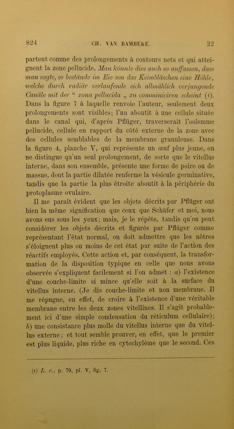 partent comme des prolongements à contours nets et qui attei- gnent la zone pellucide. Man honnie dies auch so auffassen, dass man sagte, es bestande im Eie mn das KeimbldscJien eine Hôlile, welche durcli radidr verlaufende sich allmdhlich verjungende Candie mit der “ zona loellucida „ zu comminiciren scJieint (i). Dans la figure 7 à laquelle renvoie l’auteur, seulement deux prolongements sont visibles; l’un aboutit à une cellule située dans le canal qui, d’après Pfiüger, traverserait l’oolemme pellucide, cellule en rapport du côté externe de la zone avec des cellules semblables de la membrane granuleuse. Dans la figure 4, planche V, qui représente un œuf plus jeune, on ne distingue qu’un seul prolongement, de sorte que le vitellus interne, dans son ensemble, présente une forme de pome ou de massue, dont la partie dilatée renferme la vésicule germinative, tandis que la partie la plus étroite aboutit à la périphérie du protoplasme ovulaire. Il me paraît évident que les objets décrits par Pfiüger ont bien la même signification que ceux que Schâfer et moi, nous avons eus sous les yeux; mais, je le répète, tandis qu’on peut considérer les objets décrits et figurés par Pfiüger comme représentant l’état normal, on doit admettre que les nôtres s’éloignent plus ou moins de cet état par suite de l’action des réactifs employés. Cette action et, par conséquent, la transfor- mation de la disposition typique en celle que nous avons observée s’expliquent facilement si l’on admét : a) l’existence d’une couche-limite si mince qu’elle soit à la sm’face du vitellus interne. (Je dis couche-limite et non membrane. Il me répugne, en effet, de croire à l’existence d’une Aœritable membrane entre les deux zones vitellines. Il s’agit probable- ment ici d’une simple condensation du réticulum cellulaire); b) une consistance plus molle du vitellus interne que du vitel- lus externe ; et tout semble prouver, en effet, que le premier est plus liquide, plus riche en cytochylème que le second. Ces (i) L. c., p. 79, pi. v, fig. 7.