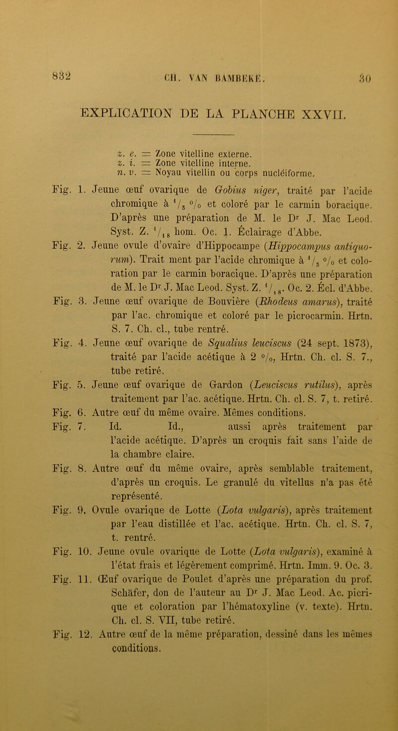 Cil. VAN BAMHKkE. 30 EXPLICATION DE LA PLANCHE XXVfl. Z. e. = Zone vitelline externe. Z. i. = Zone vitelline interne. n. V. = Noyau vitellin ou corps nucléiforme. Fig. 1. Jeune œuf ovarique de Gobius niger, traité par l’acide chromique à V3 % et coloré par le carmin boracique. D’après une préparation de M. le D^ J. Mac Leod. Syst. Z. Vis Oc. 1. Éclairage d’Abbe. Fig. 2. Jeune ovule d’ovaire d’Hippocampe {HippocanijMS antiquo- rum). Trait ment par l’acide chromique à V3 % et colo- ration par le carmin boracique. D’après une préparation de M. le D>^ J. Mac Leod. Syst. Z. Vis- Oc. 2. Écl. d’Abbe. Fig. 3. Jeune œuf ovarique de Bouvière {Bhodeus amarus), traité par l’ac. chromique et coloré par le picrocarmin. Hrtn. S. 7. Ch. cl., tube rentré. Fig. 4. Jeune œuf ovarique de Squalius leuciscus (24 sept. 1873), traité par l’acide acétique à 2 °/o, Hrtn. Ch. cl. S. 7., tube retiré. Fig. 5. Jeune œuf ovarique de Gardon {Leuciscus rutilus), après traitement par l’ac. acétique. Hrtn. Ch. cl. S. 7, t. retiré. Fig. 6. Autre œuf du même ovaire. Mêmes conditions. Fig. 7. Id. Id., aussi après traitement par l’acide acétique. D’après un croquis fait sans l’aide de la chambre claire. Fig. 8. Autre œuf du même ovaire, après semblable traitement, d’après un croquis. Le granulé du vitellus n’a pas été représenté. Fig. 9. Ovule ovarique de Lotte (Lota vulgaris), après traitement par l’eau distillée et l’ac. acétique. Hi’tn. Ch. cl. S. 7, t. rentré. Fig. 10. Jeune ovule ovarique de Lotte {Loia vulgaris), examiné à l’état frais et légèrement comprimé. Hrtn. Imm. 9. Oc. 3. Fig. 11. Œuf ovarique de Poulet d’après une préparation du prof. Schafer, don de l’auteur au D>‘ J. Mac Leod. Ac. picri- que et coloration par l’hématoxyline (v. texte). Hrtn. Ch. cl. S. VII, tube retiré. Fig. 12. Autre œuf de la même préparation, dessiné dans les mêmes conditions,