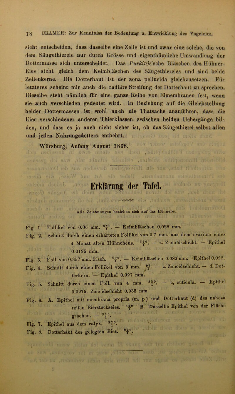 sicht entscheiden, dass dasselbe eine Zelle ist und zwar eine solche, die von dem Säugethiereie nur durch Grösse und eigenthtimliche Umwandlung der Dottermasse sich unterscheidet. Das Purkinje'sehe Bläschen des Hühner- Eies steht gleich dem Keimbläschen des Säugethiereies und sind beide Zellenkerne. Die Dotterhaut ist der zona pellucida gleichzusetzen. Für letzteres scheint mir auch die radiäre Streifung der Dotterhaut zu sprechen. Dieselbe steht nämlich für eine ganze Reihe von Eimembranen fest, wenn sie auch verschieden gedeutet wird. In Beziehung auf die Gleichstellung beider Dottermassen ist wohl auch die Thatsache anzuführen, dass die Eier verschiedener anderer Thierklassen zwischen beiden Uebergänge bil- den, und dass es ja auch nicht sicher ist, ob das Säugethierei selbst allen und jeden Nahrungsdotters entbehrt. Würzburg, Anfang August 1868. Erklärung der Tafel. Alle Zeichnungen beziehen sich auf das Hühnerei, *. 1 ft Ut*>ü S: 5 • ’i li‘? . ' v.f *)J| .i':rV; < I - Fig. 1. Follikel von 0.06 mm. 3f-°. — Keimbläschen 0.028 mm. Fig. 2. Schnitt durch einen erhärteten Follikel von 0.7 mm. aus dem ovarium eines 4 Monat alten Hühnchens. 3y°. — z. Zonoidschicht. — Epithel 0.0195 mm. Fig. 3. Foll. von 0.357 mm. frisch. 3£°. — Keimbläschen 0.082 mm. Epithel 0.022. Fig. 4. Schnitt durch einen Follikel von 3 mm. ®T®. — z. Zonoidschicht. — d. Dot- terkern. — Epithel 0.027 mm. Fig. 5. Schnitt durch einen Foll. von 4 mm. 3f-°. c, cuticula. Epithel 0.0275. Zonoidschicht 0.035 mm. Fig. 6. A. Epithel mit membrana propria (m. p.) und Dotterhaut (d) des nahezu reifen Eierstockseies. 3f-°- B. Dasselbe Epithel von der Fläche gesehen. — 3y°. Fig. 7. Epithel aus dem calyx. 3y°. Fig. 8. Dotterhaut des gelegten Eies. 8y°.