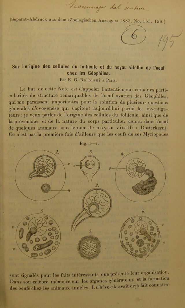 digitised image 3