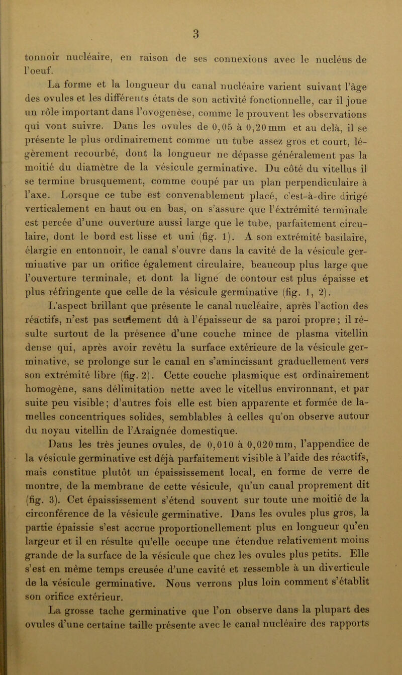 tonuoir nucléaire, en raison de ses connexions avec le nucléus de l’oeuf. La forme et la longueur du canal nucléaire varient suivant l’âge des ovules et les différents états de son activité fonctionnelle, car il joue un rôle important dans l’ovogenèse, comme le prouvent les observations qui vont suivre. Dans les ovules de 0,05 à 0,20mm et au delà, il se présente le plus ordinairement comme un tube assez gros et court, lé- gèrement recourbé, dont la longueur ne dépasse généralement pas la moitié du diamètre de la vésicule germinative. Du côté du vitellus il se termine brusquement, comme coupé par un plan perpendiculaire à l’axe. Lorsque ce tube est convenablement placé, c’est-à-dire dirigé verticalement en haut ou en bas, on s’assure que l’éxtrémité terminale est percée d’une ouverture aussi large que le tube, parfaitement circu- laire, dont le bord est lisse et uni (fig. 1). A son extrémité basilaire, élargie en entonnoir, le canal s’ouvre dans la cavité de la vésicule ger- minative par un orifice également circulaire, beaucoup plus large que l’ouverture terminale, et dont la ligne de contour est plus épaisse et plus réfringente que celle de la vésicule germinative (fig. 1, 2). L’aspect brillant que présente le canal nucléaire, après l’action des réactifs, n’est pas seulement dû à l’épaisseur de sa paroi propre; il ré- sulte surtout de la présence d’une couche mince de plasma vitellin dense qui, après avoir revêtu la surface extérieure de la vésicule ger- minative, se prolonge sur le canal en s’amincissant graduellement vers son extrémité libre (fig. 2). Cette couche plasmique est ordinairement homogène, sans délimitation nette avec le vitellus environnant, et par suite peu visible ; d’autres fois elle est bien apparente et formée de la- melles concentriques solides, semblables à celles qu’on observe autour du noyau vitellin de l’Araignée domestique. Dans les très jeunes ovules, de 0,010 à 0,020mm, l’appendice de la vésicule germinative est déjà parfaitement visible à l’aide des réactifs, mais constitue plutôt un épaississement local, en forme de verre de montre, de la membrane de cette vésicule, qu’un canal proprement dit (fig. 3). Cet épaississement s’étend souvent sur toute une moitié de la circonférence de la vésicule germinative. Dans les ovules plus gros, la partie épaissie s’est accrue proportionellement plus en longueur qu’en largeur et il en résulte qu’elle occupe une étendue relativement moins grande delà surface de la vésicule que chez les ovules plus petits. Elle s’est en même temps creusée d’une cavité et ressemble à un diverticule de la vésicule germinative. Nous verrons plus loin comment s’établit son orifice extérieur. La grosse tache germinative que l’on observe dans la plupart des ovules d’une certaine taille présente avec le canal nucléaire des rapports