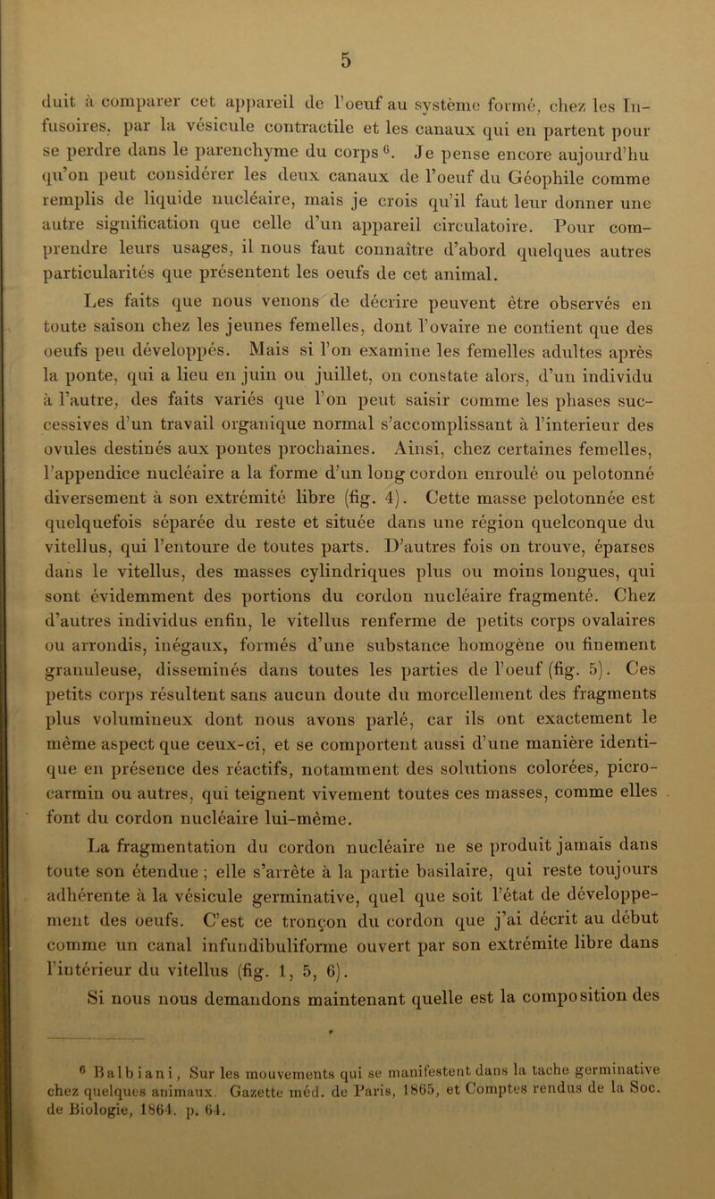 duit a comparer cet appareil de l’oeuf au système formé, chez les In- fusoires, par la vésicule contractile et les canaux qui en partent pour se perdre dans le parenchyme du corps6. Je pense encore aujourd’hu qu’on peut considérer les deux canaux de l’oeuf du Géophile comme remplis de liquide nucléaire, mais je crois qu’il faut leur donner une autre signification que celle d’un appareil circulatoire. Pour com- prendre leurs usages, il nous faut connaître d’abord quelques autres particularités que présentent les oeufs de cet animal. Les faits que nous venons de décrire peuvent être observés en toute saison chez les jeunes femelles, dont l’ovaire ne contient que des oeufs peu développés. Mais si l’on examine les femelles adultes après la ponte, qui a lieu en juin ou juillet, on constate alors, d’un individu à l’autre, des faits variés que l’on peut saisir comme les phases suc- cessives d’un travail organique normal s’accomplissant à l’interieur des ovules destinés aux pontes prochaines. Ainsi, chez certaines femelles, l’appendice nucléaire a la forme d’un long cordon enroulé ou pelotonné diversement à son extrémité libre (fig. 4). Cette masse pelotonnée est quelquefois séparée du reste et située dans une région quelconque du vitellus, qui l’entoure de toutes parts. D’autres fois on trouve, éparses dans le vitellus, des masses cylindriques plus ou moins longues, qui sont évidemment des portions du cordon nucléaire fragmenté. Chez d’autres individus enfin, le vitellus renferme de petits corps ovalaires ou arrondis, inégaux, formés d’une substance homogène ou finement granuleuse, disséminés dans toutes les parties de l’oeuf (fig. 5). Ces petits corps résultent sans aucun doute du morcellement des fragments plus volumineux dont nous avons parlé, car ils ont exactement le même aspect que ceux-ci, et se comportent aussi d’une manière identi- que en présence des réactifs, notamment des solutions colorées, picro- carmin ou autres, qui teignent vivement toutes ces masses, comme elles font du cordon nucléaire lui-mème. La fragmentation du cordon nucléaire ne se produit jamais dans toute son étendue ; elle s’arrête à la partie basilaire, qui reste toujours adhérente à la vésicule germinative, quel que soit l’état de développe- ment des oeufs. C’est ce tronçon du cordon que j’ai décrit au début comme un canal infundibuliforme ouvert par son extrémité libre dans l’intérieur du vitellus (fig. 1, 5, 6). Si nous nous demandons maintenant quelle est la composition des 6 Bail) iani, Sur les mouvements qui se manifestent dans la tache germinative chez quelques animaux. Gazette méd. de Paris, 1865, et Comptes rendus de la boc. de Biologie, 1864. p. 64.