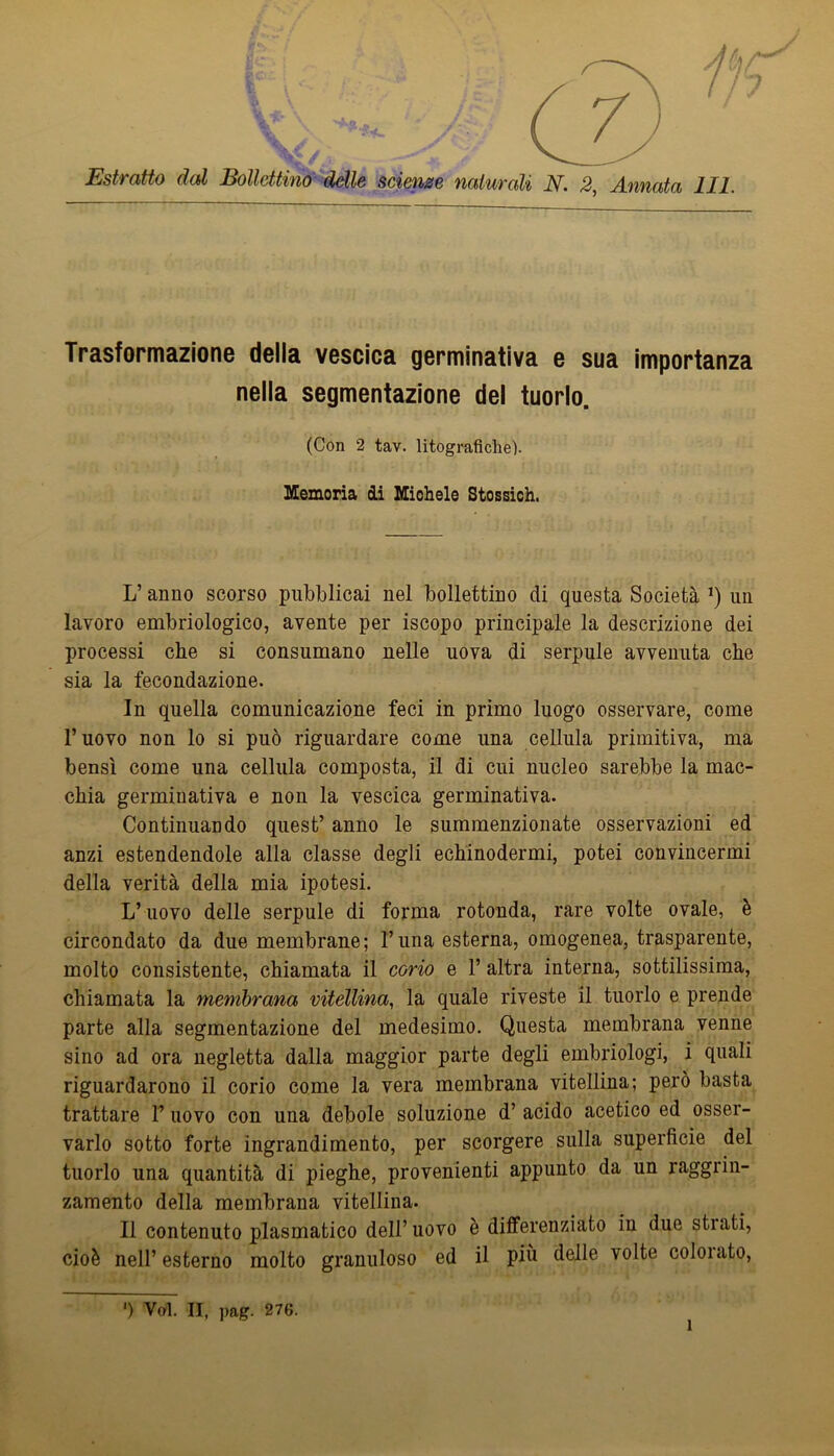 c ?) / j .7 7 Estratto dal Bollettino delle scienne naturali N. 2, Annata 111. Trasformazione delia vescica germinativa e sua importanza nella segmentazione del tuorlo. (Con 2 tav. litografiche). Memoria dì Michele Stossich. L’anno scorso pubblicai nel bollettino di questa Società un lavoro embriologico, avente per iscopo principale la descrizione dei processi che si consumano nelle uova di serpule avvenuta che sia la fecondazione. In quella comunicazione feci in primo luogo osservare, come l’uovo non lo si può riguardare come una cellula primitiva, ma bensì come una cellula composta, il di cui nucleo sarebbe la mac- chia germinativa e non la vescica germinativa. Continuando quest’ anno le summenzionate osservazioni ed anzi estendendole alla classe degli echinodermi, potei convincermi della verità della mia ipotesi. L’uovo delle serpule di forma rotonda, rare volte ovale, è circondato da due membrane; l’una esterna, omogenea, trasparente, molto consistente, chiamata il corio e 1’ altra interna, sottilissima, chiamata la membrana vitellina, la quale riveste il tuorlo e prende parte alla segmentazione del medesimo. Questa membrana venne sino ad ora negletta dalla maggior parte degli embriologi, i quali riguardarono il corio come la vera membrana vitellina; però basta trattare l’uovo con una debole soluzione d’ acido acetico ed osser- varlo sotto forte ingrandimento, per scorgere sulla superficie del tuorlo una quantità di pieghe, provenienti appunto da un raggrin- zamento della membrana vitellina. Il contenuto piasmatico dell’uovo è differenziato in due stiati, cioè nell’ esterno molto granuloso ed il più delle volte colorato. ') Voi. Il, ])ag. 276.