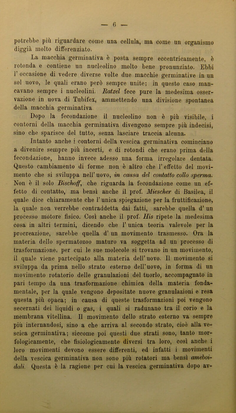 potrebbe più riguardare come una cellula, ma come un organismo diggià molto differenziato. La macchia germinativa è posta sempre eccentricamente, è rotonda e contiene un nucleolino molto bene pronunziato. Ebbi 1’ occasione di vedere diverse volte due macchie germinative in un sol uovo, le quali erano però sempre unite; in questo caso man- cavano sempre i nucleolini. Hatzél fece pure la medesima osser- vazione in uova di Tubifex, ammettendo una divisione spontanea delia macchia germinativa Dopo la fecondazione il nucleolino non è più visibile, i contorni della macchia germinativa divengono sempre più indecisi, sino che sparisce del tutto, senza lasciare traccia alcuna. Intanto anche i contorni della vescica germinativa cominciano a divenire sempre più incerti, e di rotondi che erano prima della fecondazione, hanno invece adesso una forma irregolare dentata. Questo cambiamento di forme non è altro che l’effetto del movi- mento che si sviluppa nell’ uovo, in causa del contatto collo sperma. Non è il solo Bischoff, che riguarda la fecondazione come un ef- fetto di contatto, ma bensì anche il prof. Miescher di Basilea, il quale dice chiaramente che l’unica spiegazione per la fruttificazione, la quale non verrebbe contraddetta dai fatti, sarebbe quella d’ un processo motore fisico. Così anche il prof. His ripete la medesima cosa in altri termini, dicendo che 1’ unica teoria valevole per la procreazione, sarebbe quella d’ un movimento trasmesso. Ora la materia dello spermatozoo maturo va soggetta ad un processo di trasformazione, per cui le sue molecole si trovano in un movimento, il quale viene partecipato alla materia dell’uovo. Il movimento si sviluppa da prima nello strato esterno dell’uovo, in forma di un movimento rotatorio delle granulazioni del tuorlo, accompagnato in pari tempo da una trasformazione chimica della materia fonda- mentale, per la quale vengono depositate nuove granulazioni e resa questa più opaca; in causa di queste trasformazioni poi vengono secernati dei liquidi o gas, i quali si radunano tra il corio e la membrana vitellina. Il movimento dello strato esterno va sempre più internandosi, sino a che arriva al secondo strato, cioè alla ve- scica germinativa; siccome poi questi due strati sono, tanto mor- fologicamente, che fisiologicamente diversi tra loro, così anche i loro movimenti devono essere differenti, ed infatti i movimenti della vescica germinativa non sono più rotatori ma bensì améboi- dali. Questa è la ragione per cui la vescica germinativa dopo av-