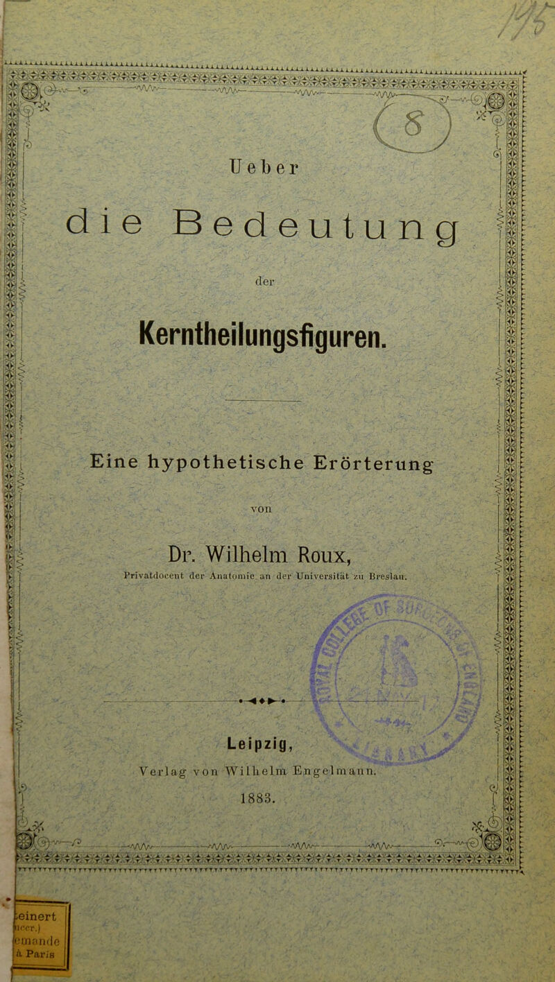 I ./ / i‘ l ii U e b e r I 1 • T-^  die Bedeutung der Kerntheilungsfiguren. Eine hypothetische Erörterung von Dr. Wilhelm Roux, Privatdocent der Anatomie an der Universität zu Breslau. Leipzig, ’■ j Verlag von Wilhelm Engelmann. 1883. ■ J- -A/W-^ ■'AA/'^— aVVVv“- ; —‘'AA/V^ TTTTTTTTTTTTT^TTTTTTTTTTTTTTTTTT TTTTTTTTTTTTTTTTTTTTTTTTTTTITTTTTTTTTTTTTTTTTTTTTTTITTTTTTTTTTTTTTTT^ leinert iK’er.) lemfindo ! i Poris