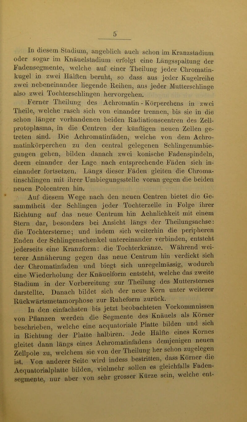 In diesem Stadimiij angeblich auch schon im Kranzstadium oder sogar im Knäiielstadium erfolgt eine Längsspaltung der Fadensegmente, welche auf einer Theilung jeder Chromatin- kugel in zwei Hälften beruht, so dass aus jeder Kugelreihe zwei nebeneinander liegende Reihen, aus jeder Mutterschlinge also zwei Tochterschlingen hervorgehen. Ferner Theilung des Achromatin - Körperchens in zwei Theile, welche rasch sich von einander trennen, bis sie in die schon länger vorhandenen beiden Radiationscentren des Zell- protoplasma, in die Centren der künftigen neuen Zellen ge- treten sind. Die Achromatinfäden, welche von dem Achro- matinkörperchen zu den central gelegenen Schlingenumbie- gungen gehen, bilden danach zwei konische Fadenspindeln, deren einander der Lage nach entsprechende Fäden sich in- einander fortset2ien. Längs dieser Fäden gleiten die Chroma- tinschlingen mit ihrer Umbiegungsstelle voran gegen die beiden neuen Polcentren hin. Auf diesem Wege nach den neuen Centren bietet die Ge- sammtheit der Schlingen jeder Tochterzelle in Folge ihrer Richtung auf das neue Centrum hin Aehnlichkeit mit einem Stern dar, besonders bei Ansicht längs der Theilungsachse: die Tochtersterne; und indem sich weiterhin die peripheren Enden der Schüngenschenkel untereinander verbinden, entsteht jederseits eine Kranzform: die Tochterkränze. Während wei- terer Annäherung gegen das neue Centrum hin verdickt sich der Chromatinfaden und biegt sich unregelmässig, wodurch eine Wiederholung der Knäuelform entsteht, welche das zweite Stadium in der Vorbereitung zur Theilung des Muttersternes darstellte. Danach bildet sich der neue Kern unter weiterer Rückwärtsmetamorphose zur Ruheform zurück. In den einfachsten bis jetzt beobachteten Vorkommnissen von Pflanzen werden die Segmente des Knäuels als Köinei beschrieben, welche eine aequatoriale Platte bilden und sich in Richtung der Platte halbiren. Jede Hälfte eines Kornes gleitet dann längs eines Achromatinfadens demjenigen neuen Zellpole zu, welchem sie von der Theilung her schon zugelegen ist. Von anderer Seite wird indess bestritten, dass Kornei die Aequatorialplatte bilden, vielmehr sollen es gleichfalls Faden- segmente, nur aber von sehr grosser Kürze sein, welche ent-